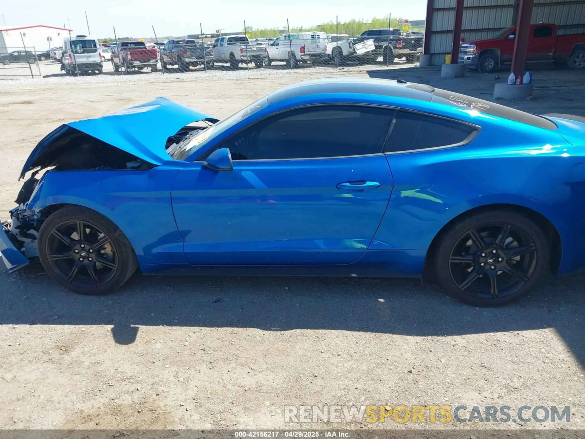 14 Photograph of a damaged car 1FA6P8TH2K5134462 FORD MUSTANG 2019