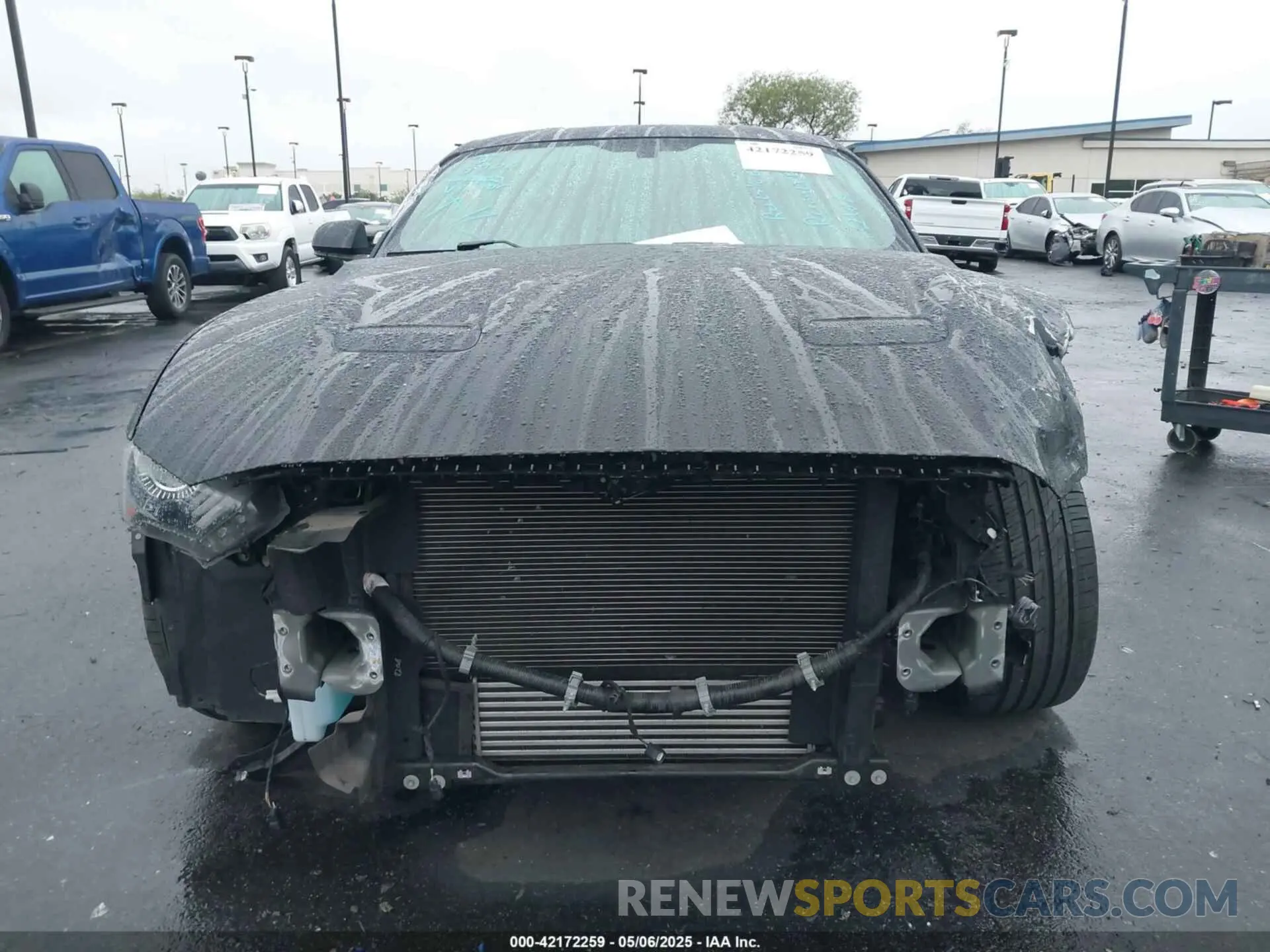 13 Photograph of a damaged car 1FA6P8TH2K5143582 FORD MUSTANG 2019