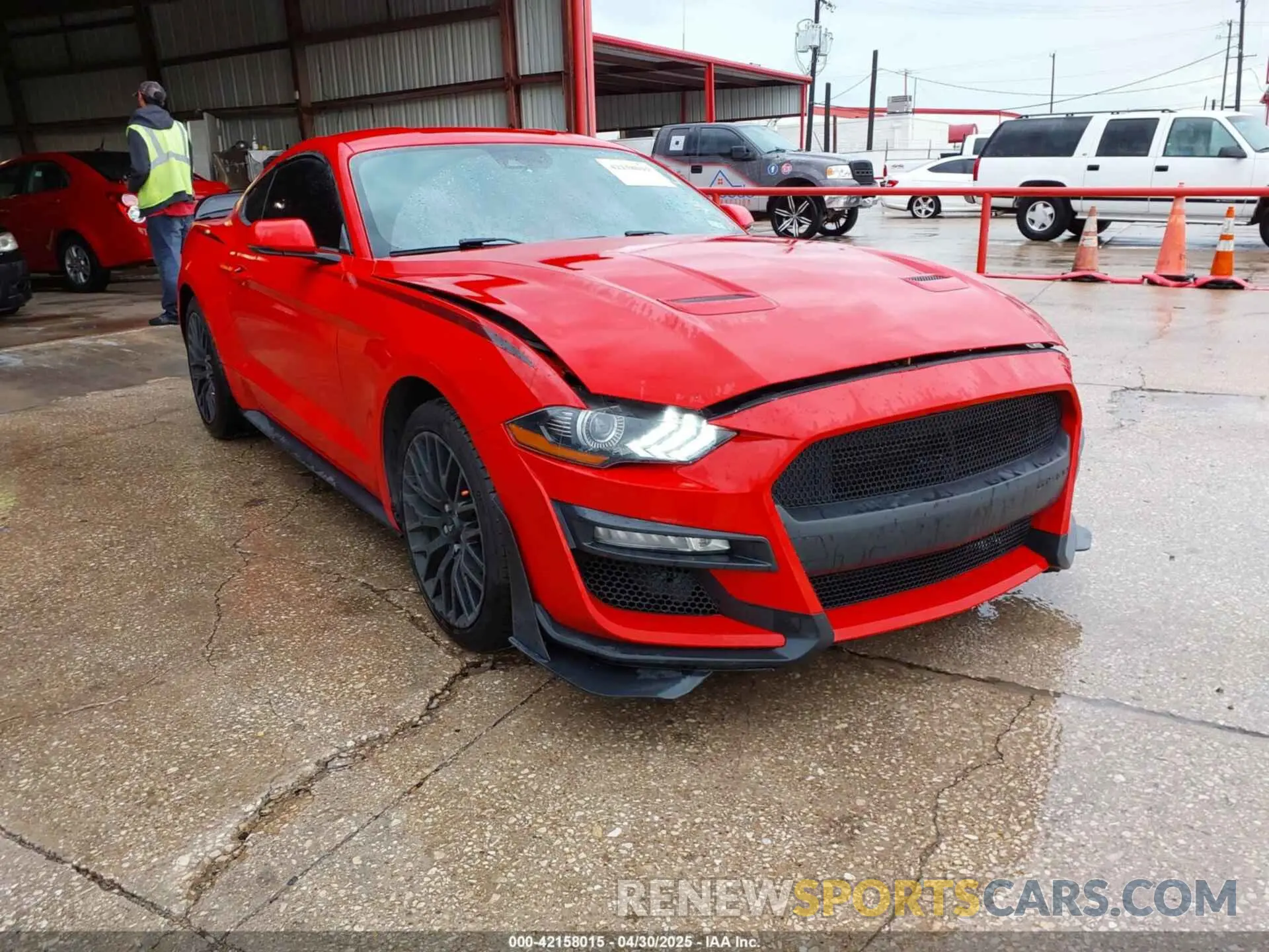 1 Фотография поврежденного автомобиля 1FA6P8TH2K5159586 FORD MUSTANG 2019