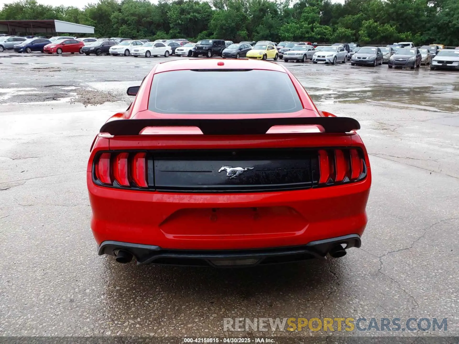 16 Фотография поврежденного автомобиля 1FA6P8TH2K5159586 FORD MUSTANG 2019
