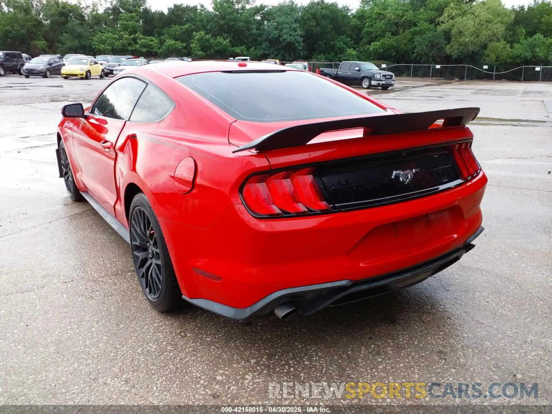 3 Фотография поврежденного автомобиля 1FA6P8TH2K5159586 FORD MUSTANG 2019