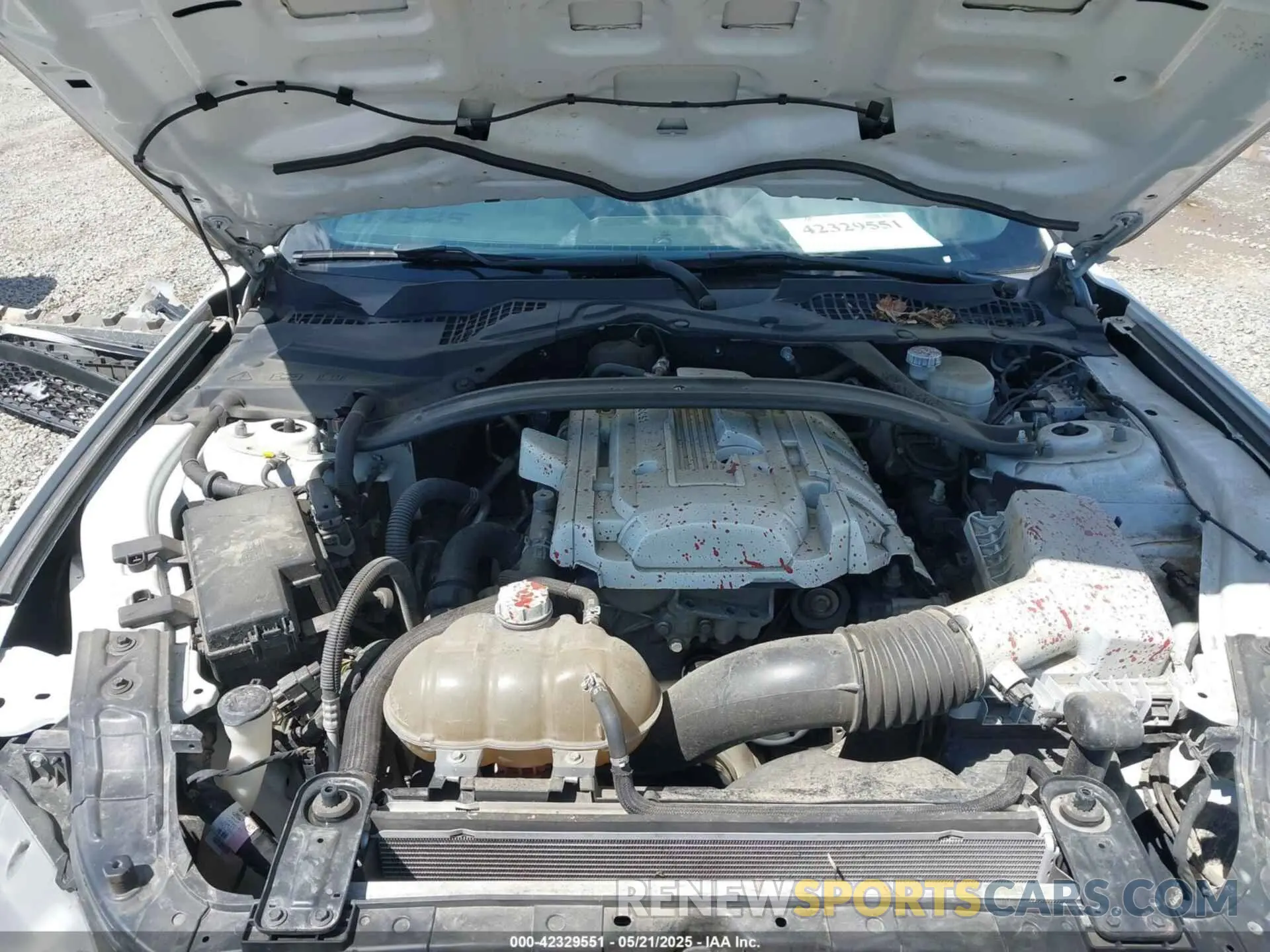 10 Photograph of a damaged car 1FA6P8TH3K5105908 FORD MUSTANG 2019