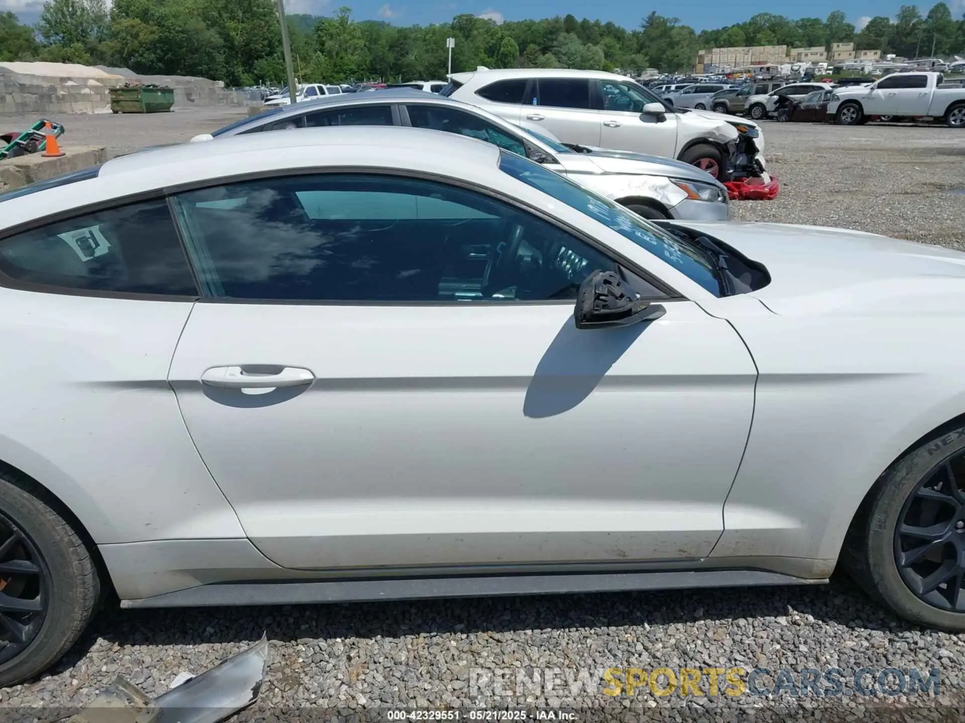 14 Photograph of a damaged car 1FA6P8TH3K5105908 FORD MUSTANG 2019