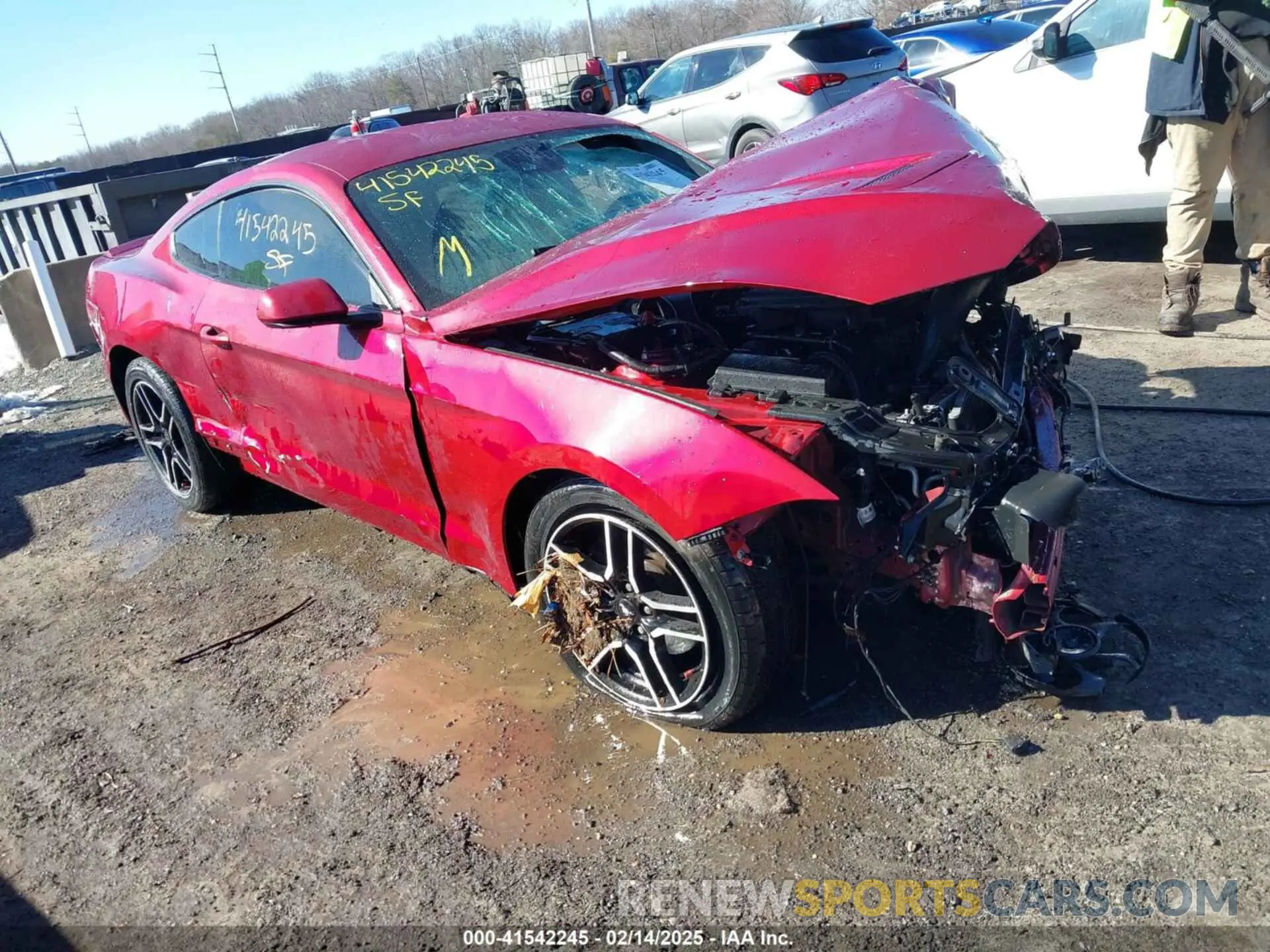 1 Фотография поврежденного автомобиля 1FA6P8TH3K5117315 FORD MUSTANG 2019