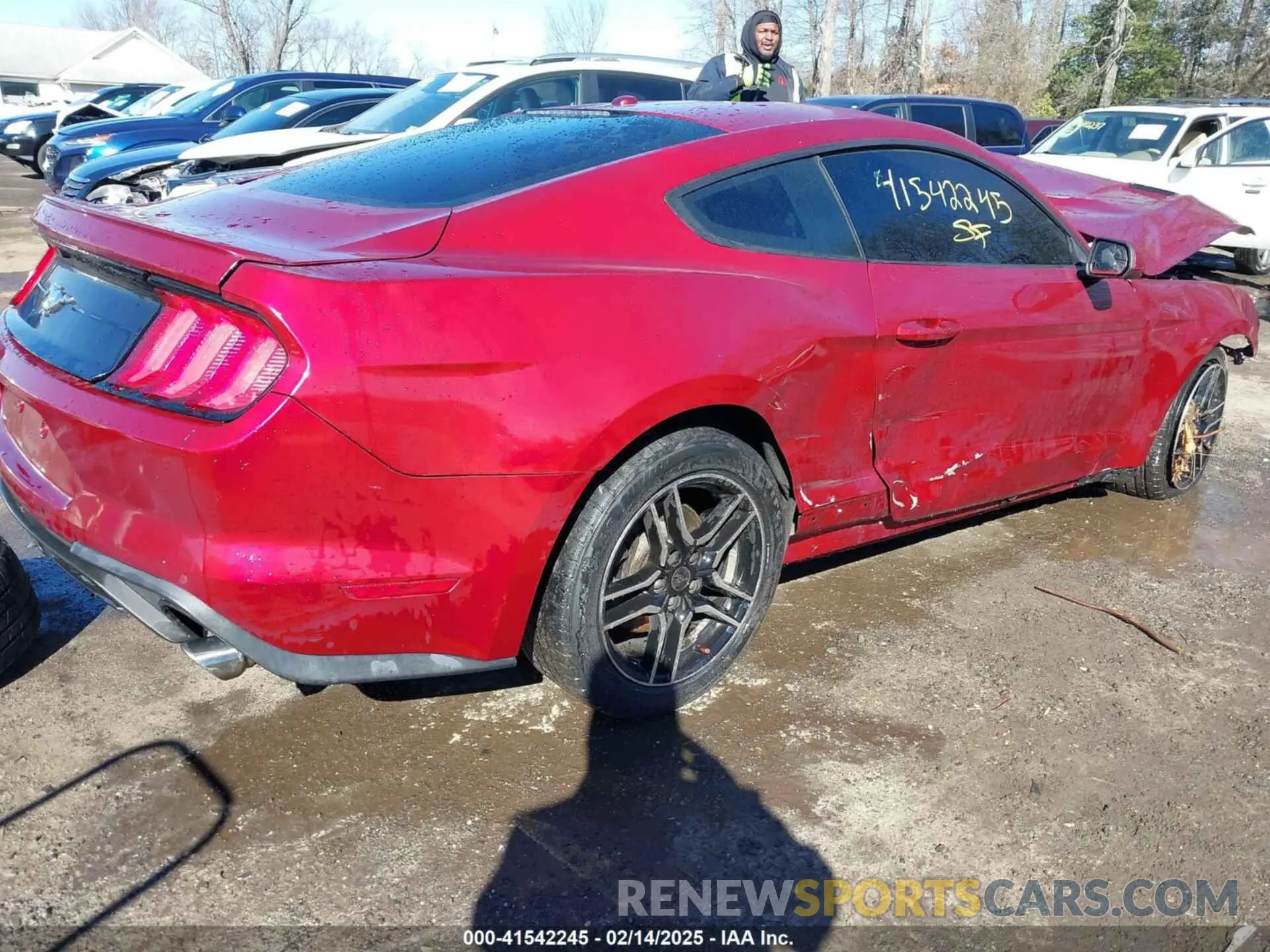 4 Фотография поврежденного автомобиля 1FA6P8TH3K5117315 FORD MUSTANG 2019