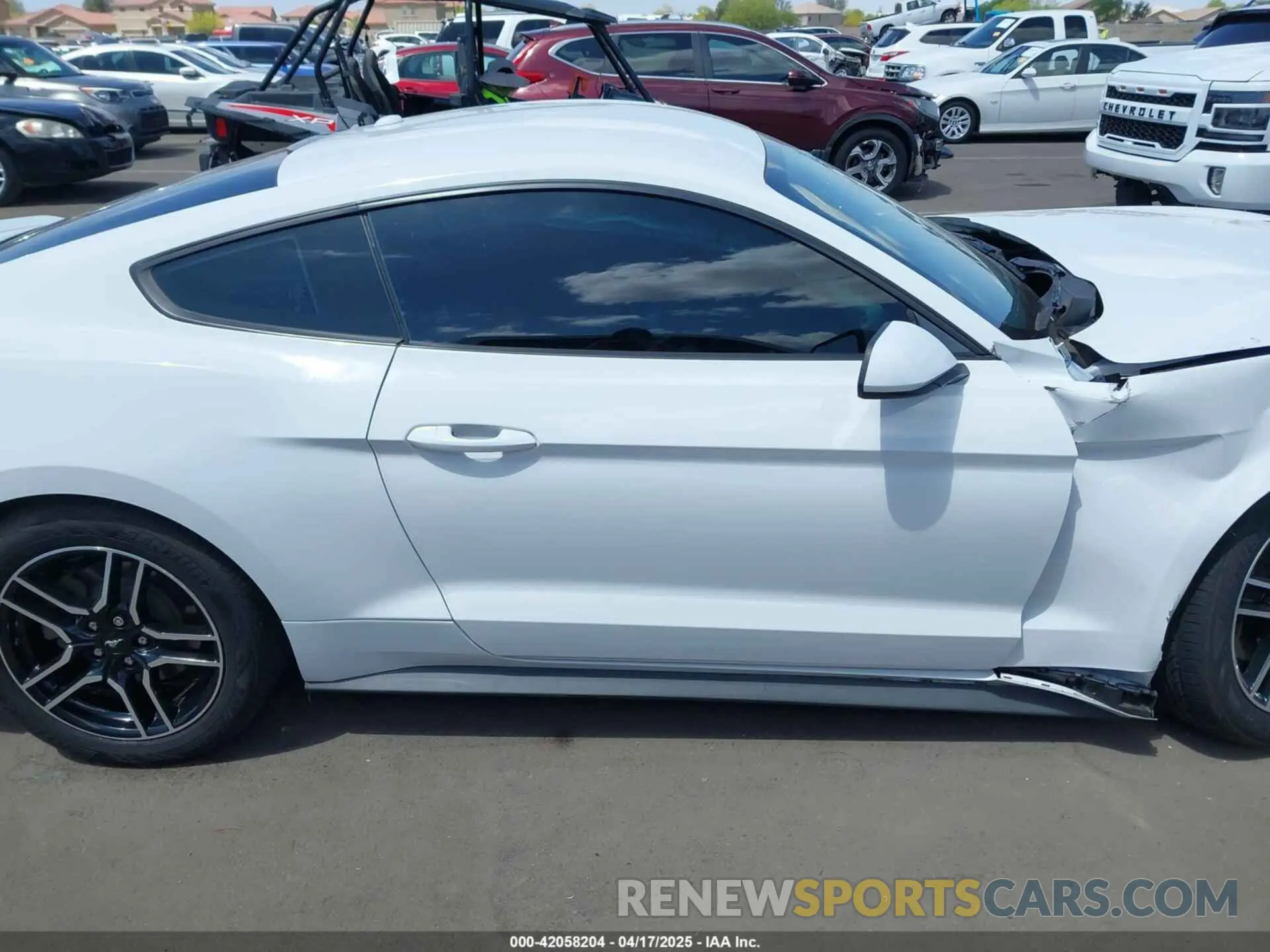 12 Фотография поврежденного автомобиля 1FA6P8TH3K5120831 FORD MUSTANG 2019