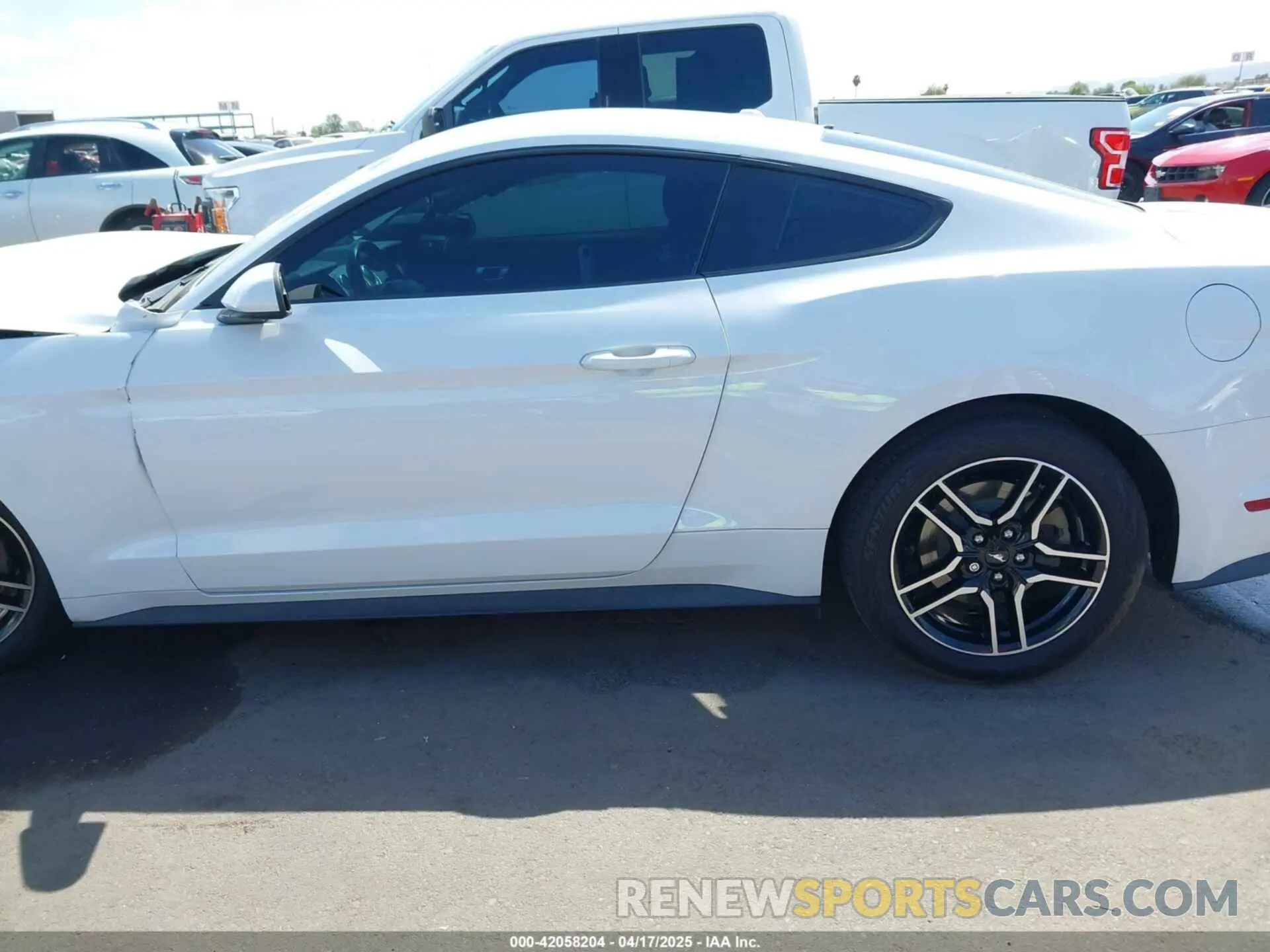 13 Фотография поврежденного автомобиля 1FA6P8TH3K5120831 FORD MUSTANG 2019