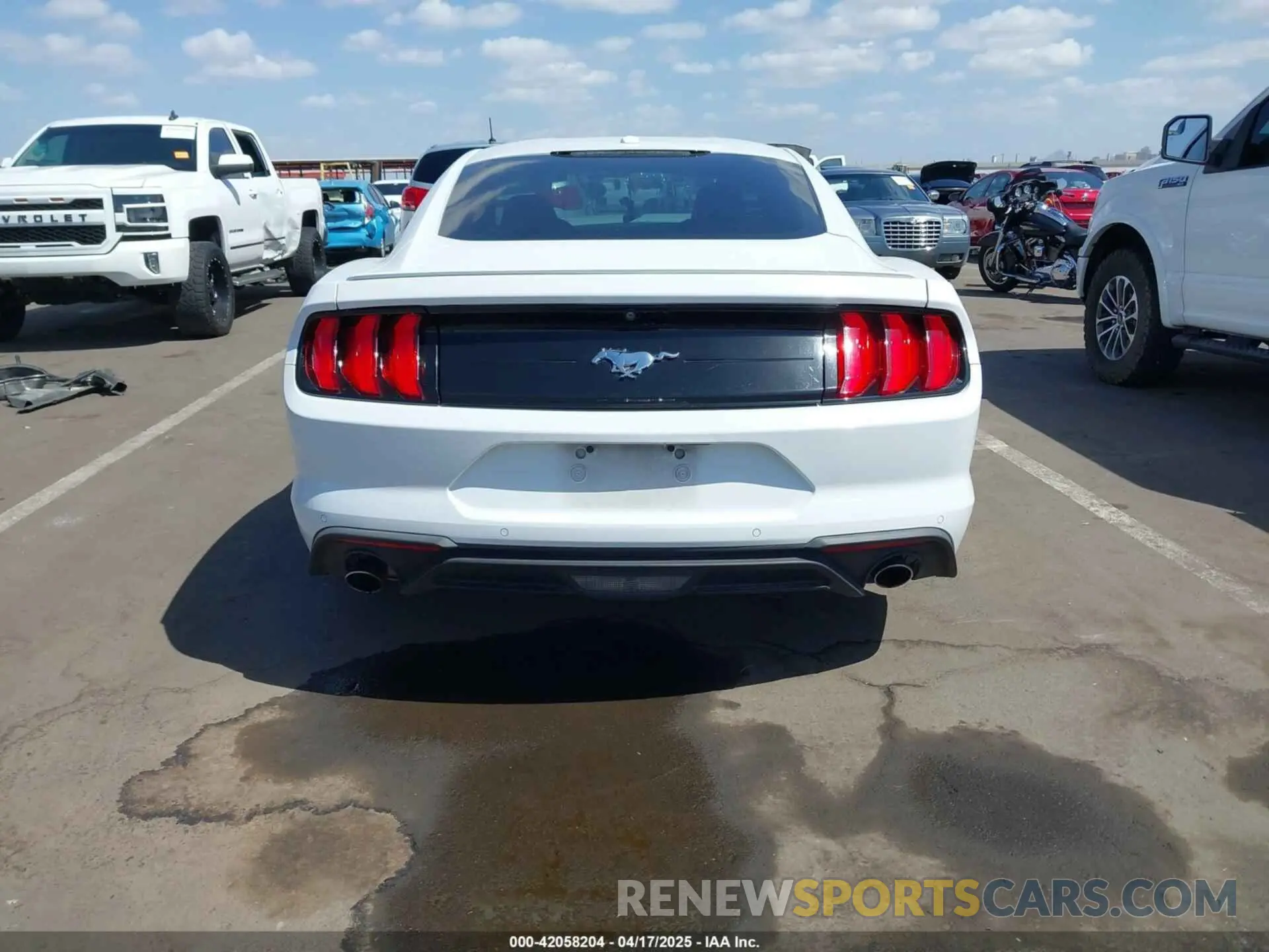 15 Фотография поврежденного автомобиля 1FA6P8TH3K5120831 FORD MUSTANG 2019
