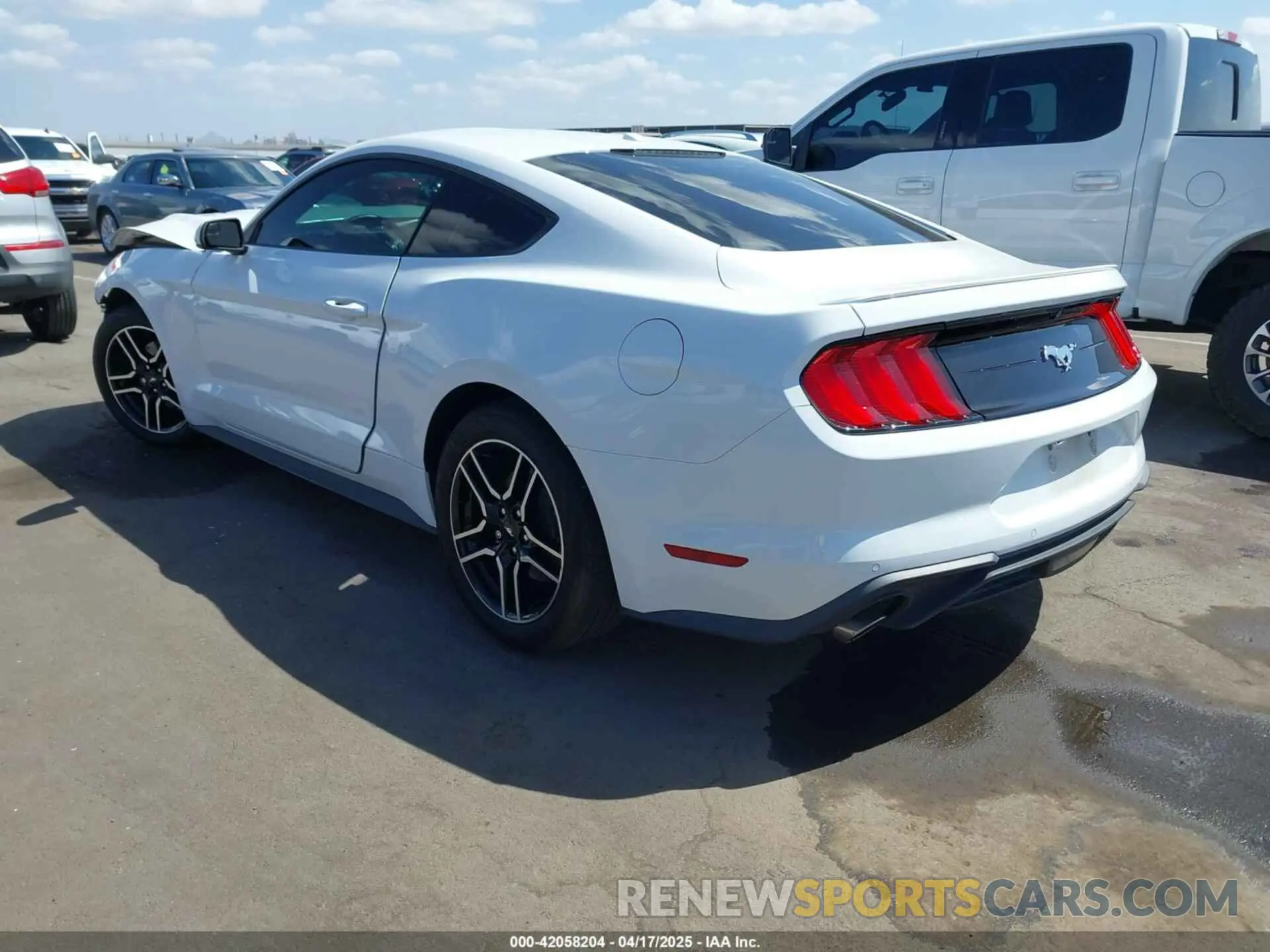 3 Фотография поврежденного автомобиля 1FA6P8TH3K5120831 FORD MUSTANG 2019