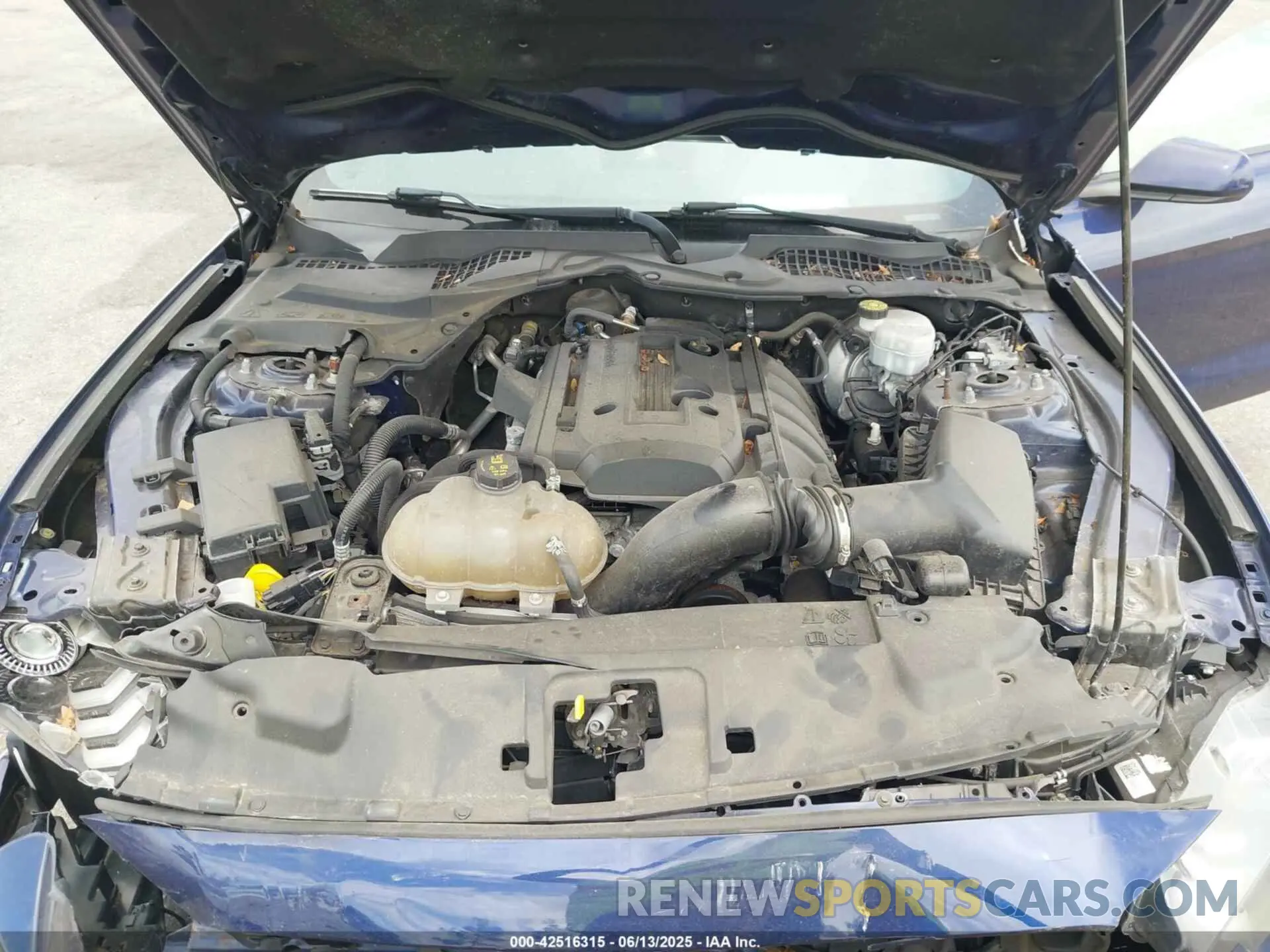 10 Фотография поврежденного автомобиля 1FA6P8TH3K5174131 FORD MUSTANG 2019