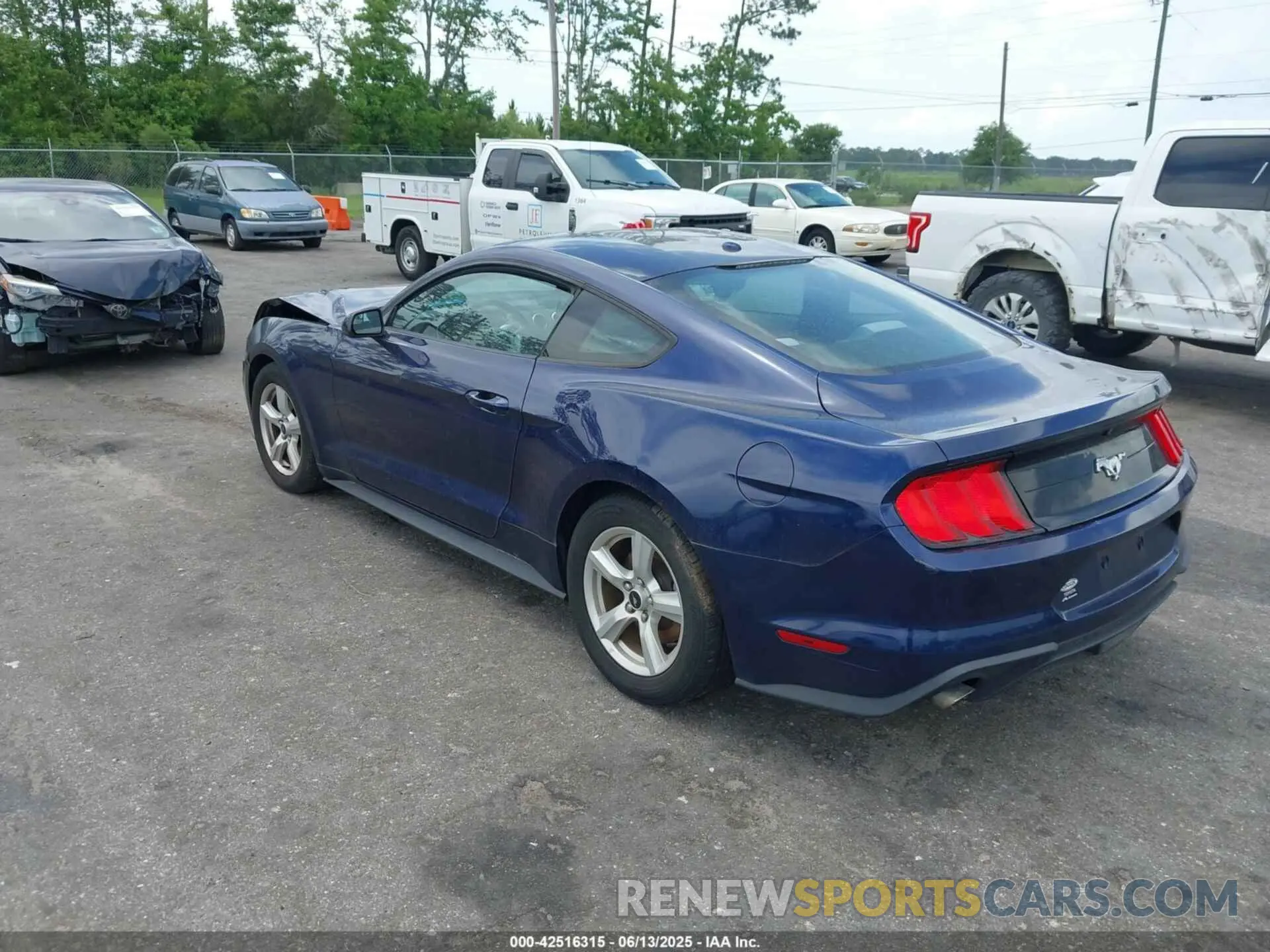 3 Фотография поврежденного автомобиля 1FA6P8TH3K5174131 FORD MUSTANG 2019