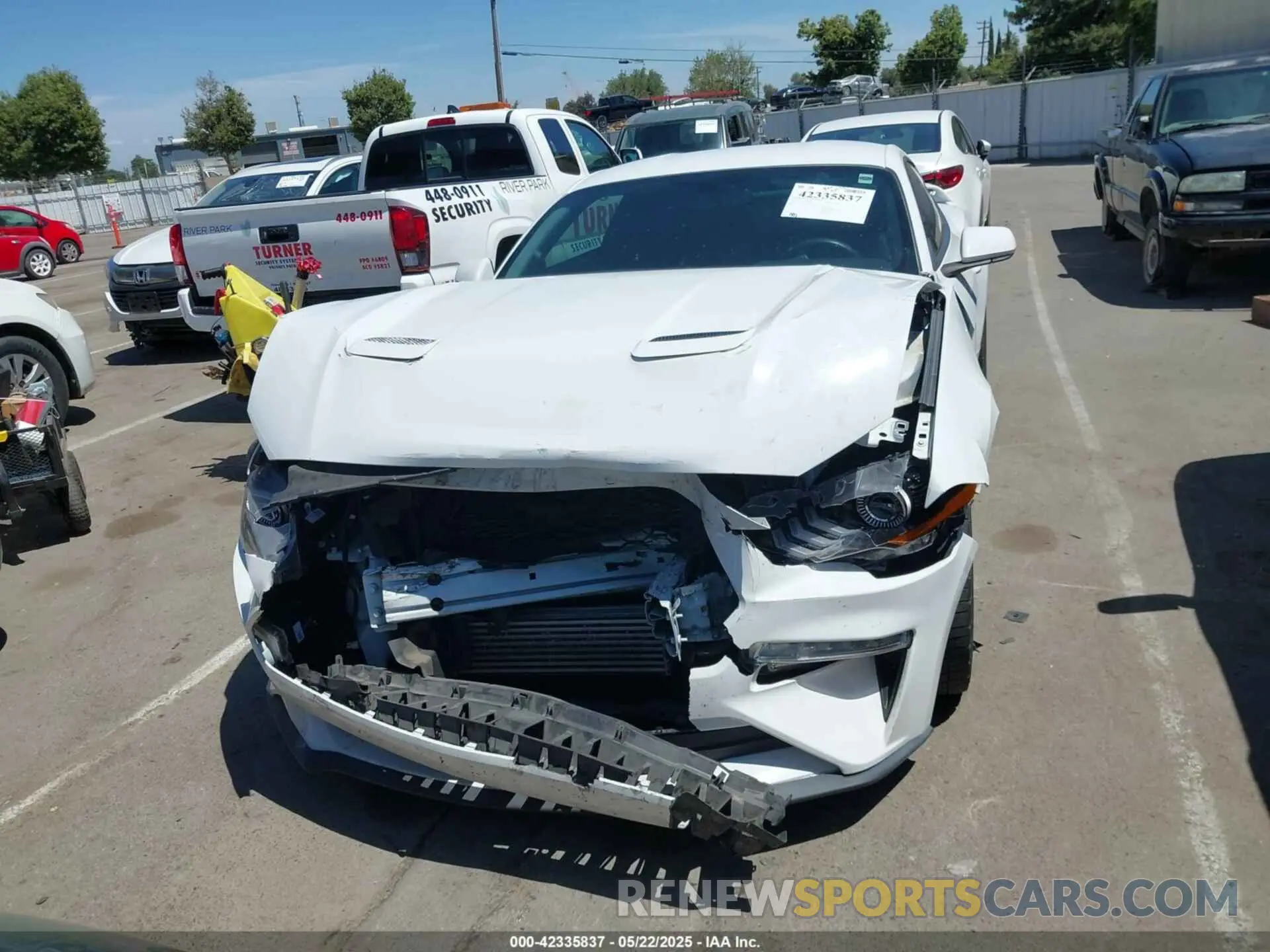 12 Photograph of a damaged car 1FA6P8TH4K5131093 FORD MUSTANG 2019