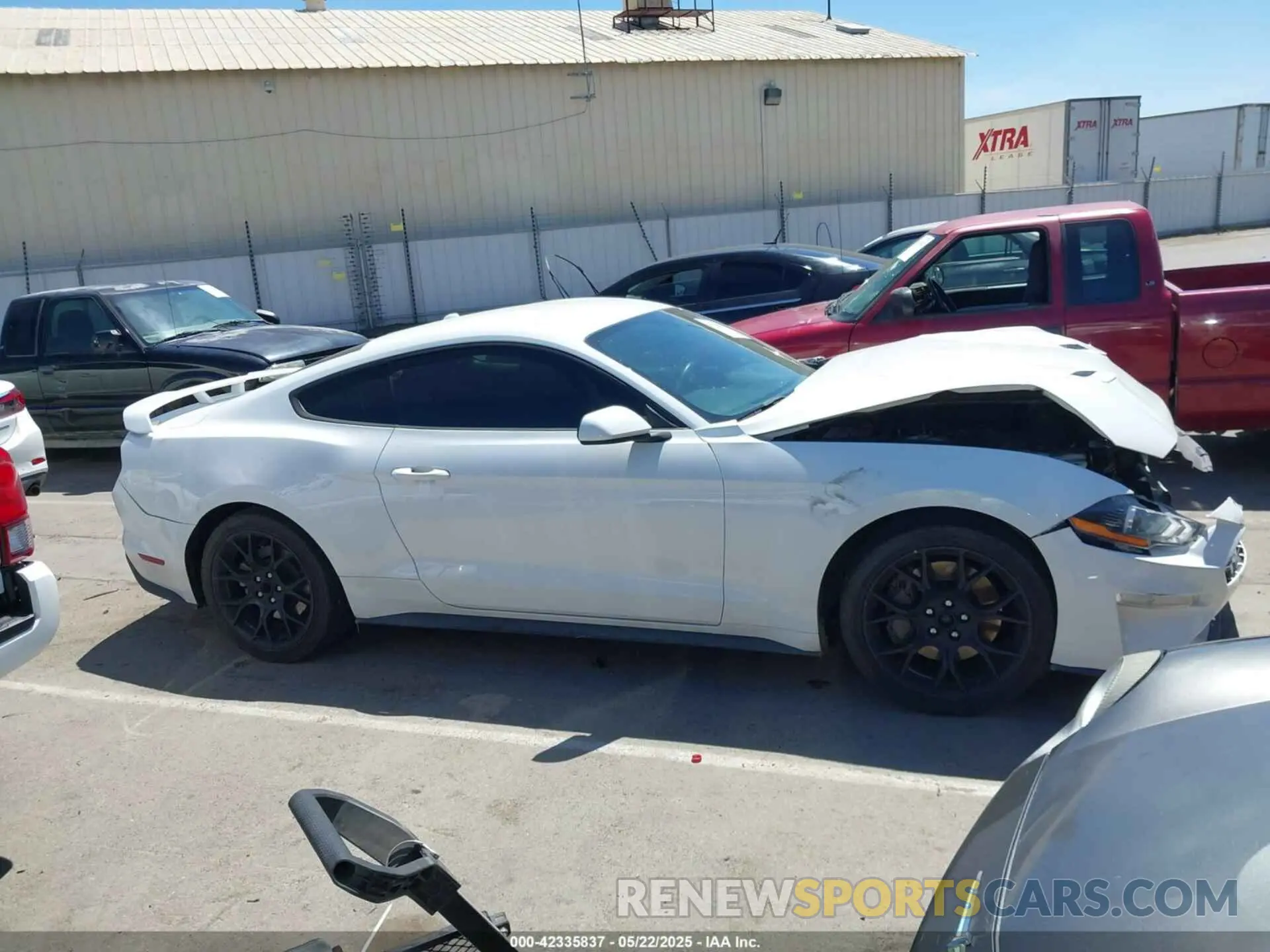 13 Photograph of a damaged car 1FA6P8TH4K5131093 FORD MUSTANG 2019