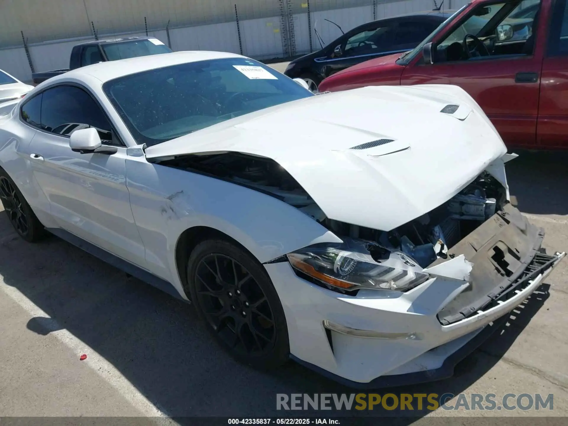 20 Photograph of a damaged car 1FA6P8TH4K5131093 FORD MUSTANG 2019