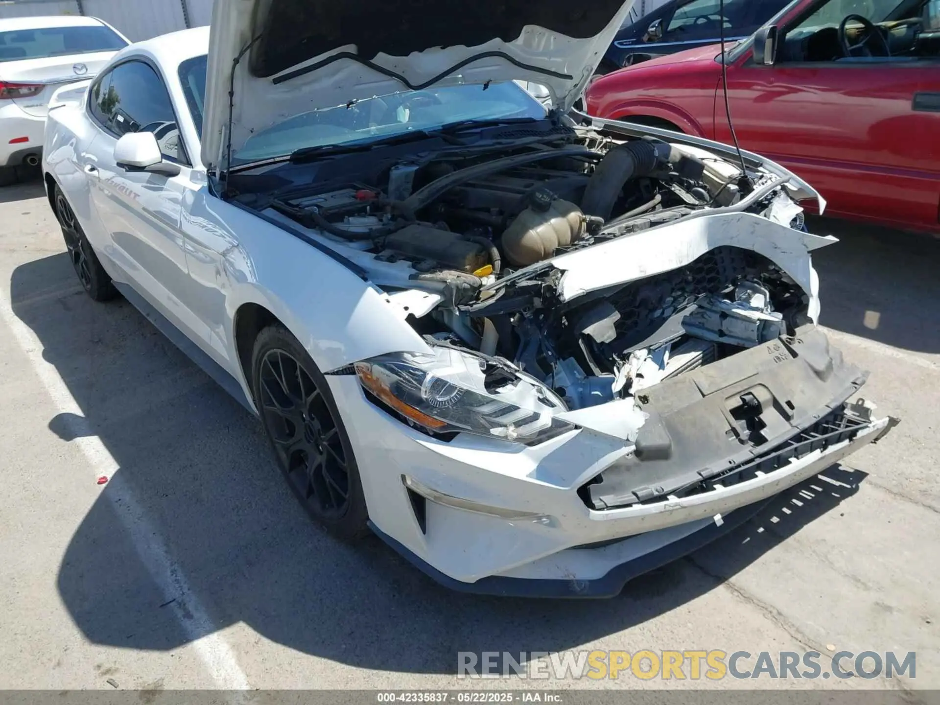 6 Photograph of a damaged car 1FA6P8TH4K5131093 FORD MUSTANG 2019