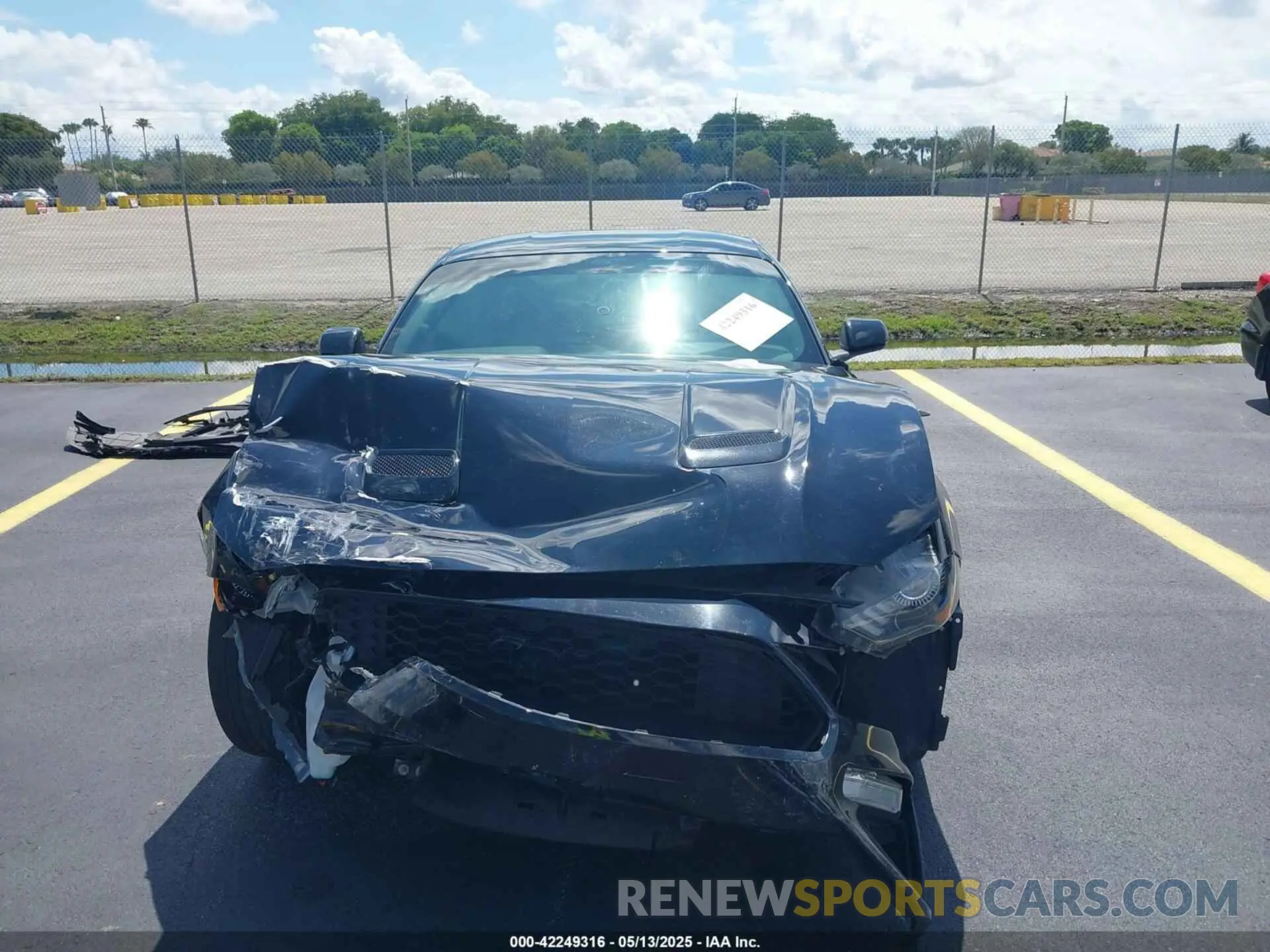 13 Photograph of a damaged car 1FA6P8TH4K5195697 FORD MUSTANG 2019