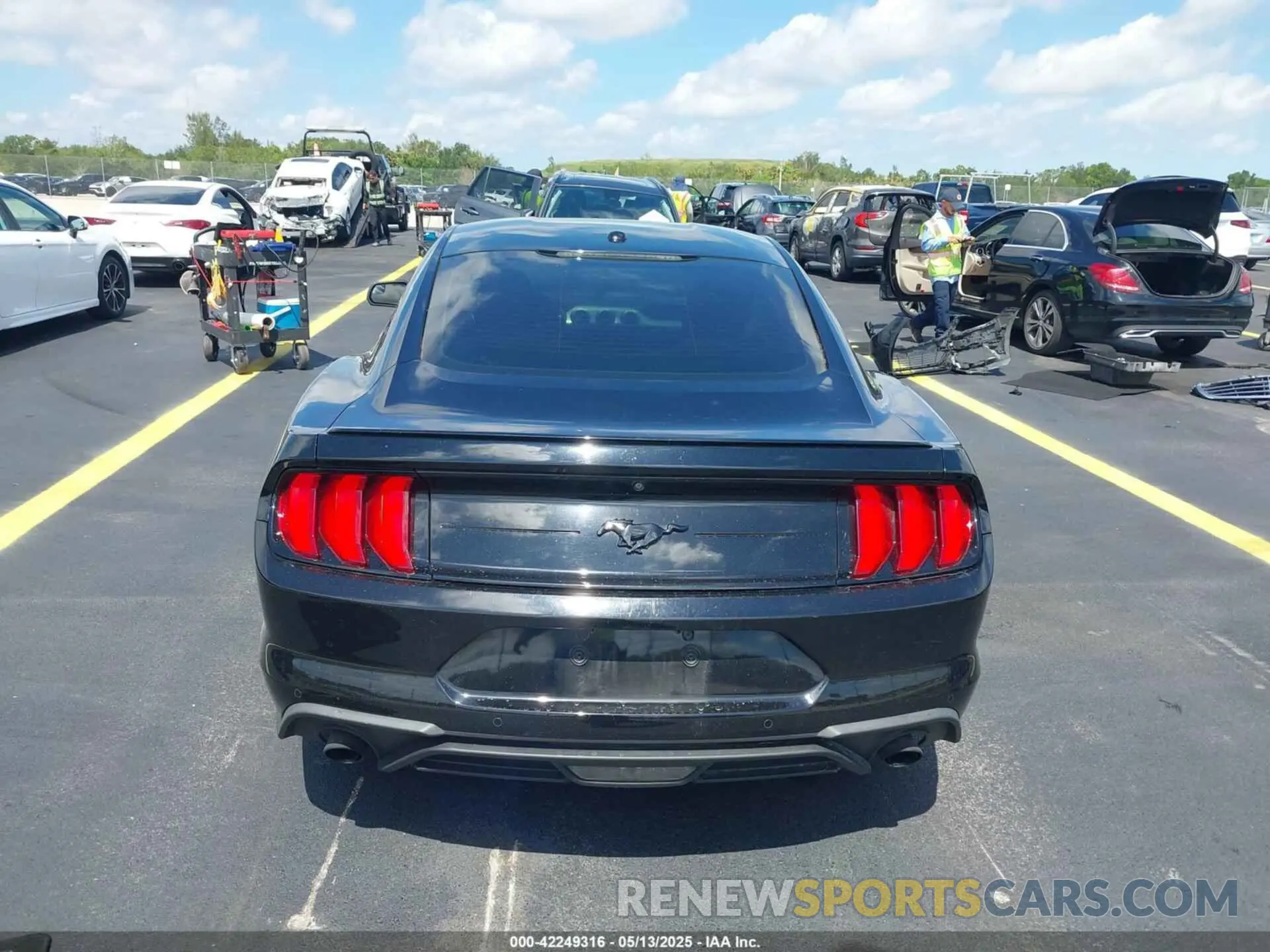 17 Photograph of a damaged car 1FA6P8TH4K5195697 FORD MUSTANG 2019