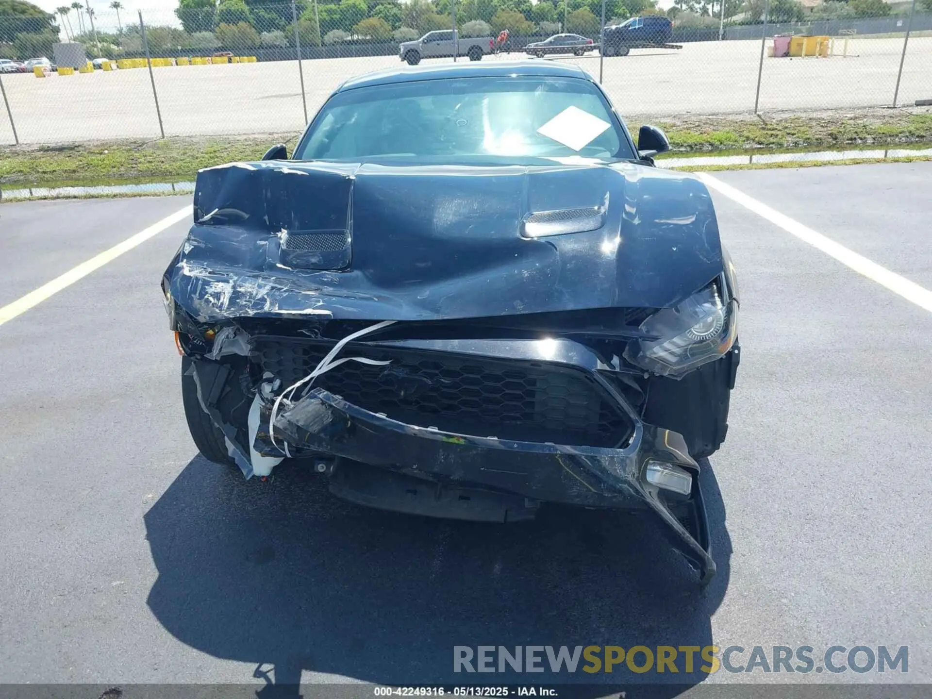 6 Photograph of a damaged car 1FA6P8TH4K5195697 FORD MUSTANG 2019