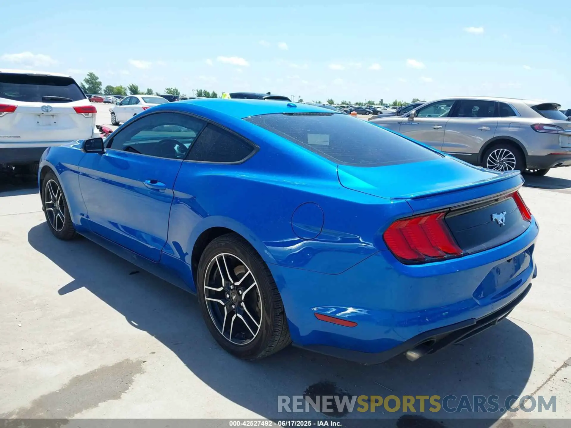 3 Фотография поврежденного автомобиля 1FA6P8TH4K5201515 FORD MUSTANG 2019