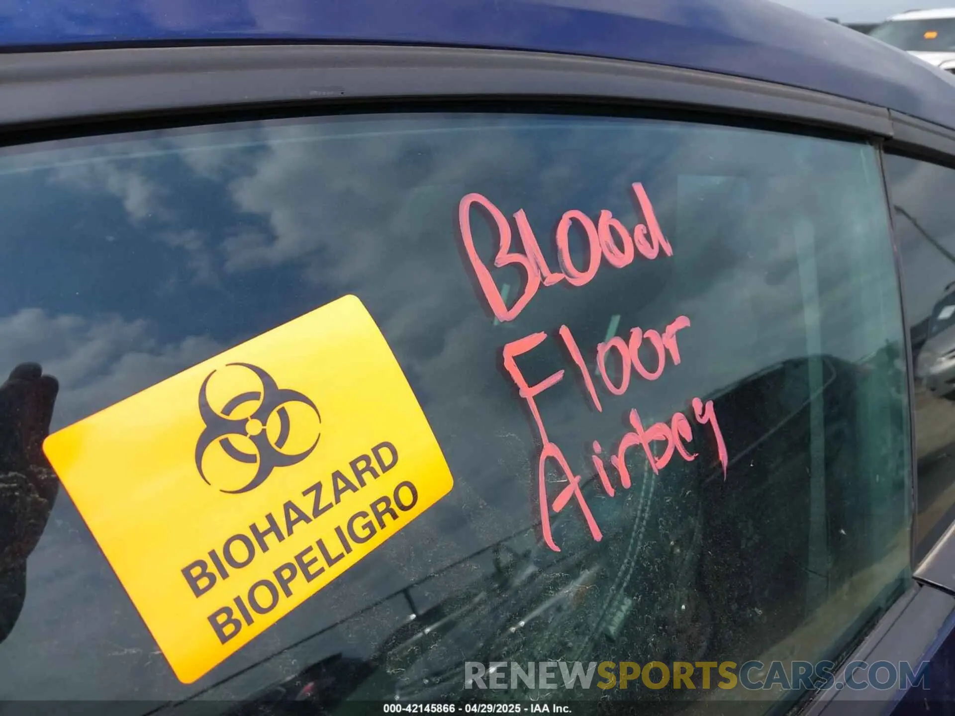 12 Photograph of a damaged car 1FA6P8TH5K5157279 FORD MUSTANG 2019