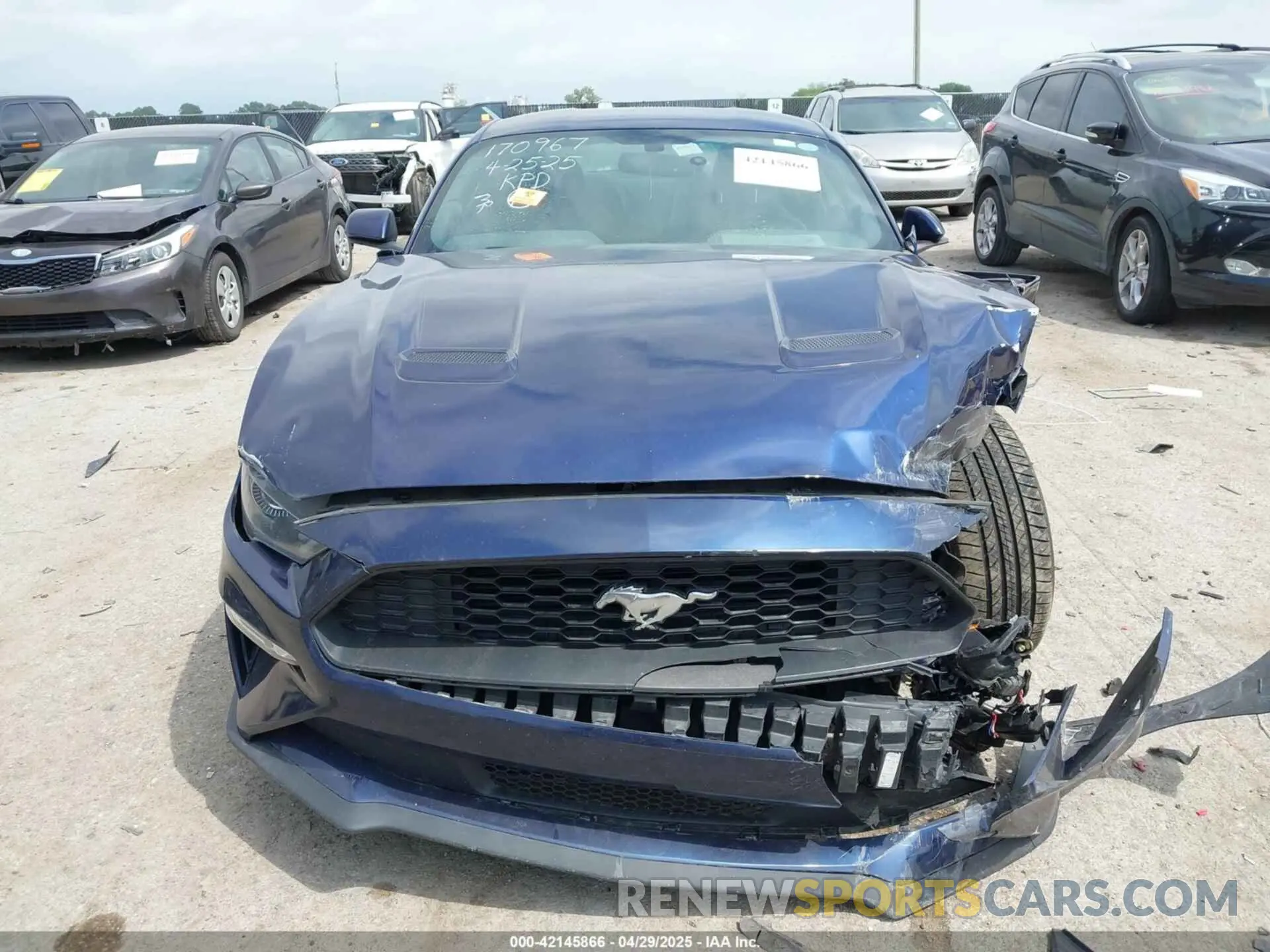 13 Photograph of a damaged car 1FA6P8TH5K5157279 FORD MUSTANG 2019