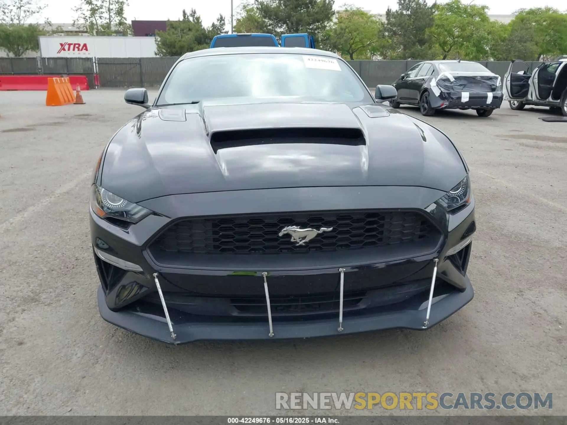 12 Photograph of a damaged car 1FA6P8TH5K5196535 FORD MUSTANG 2019