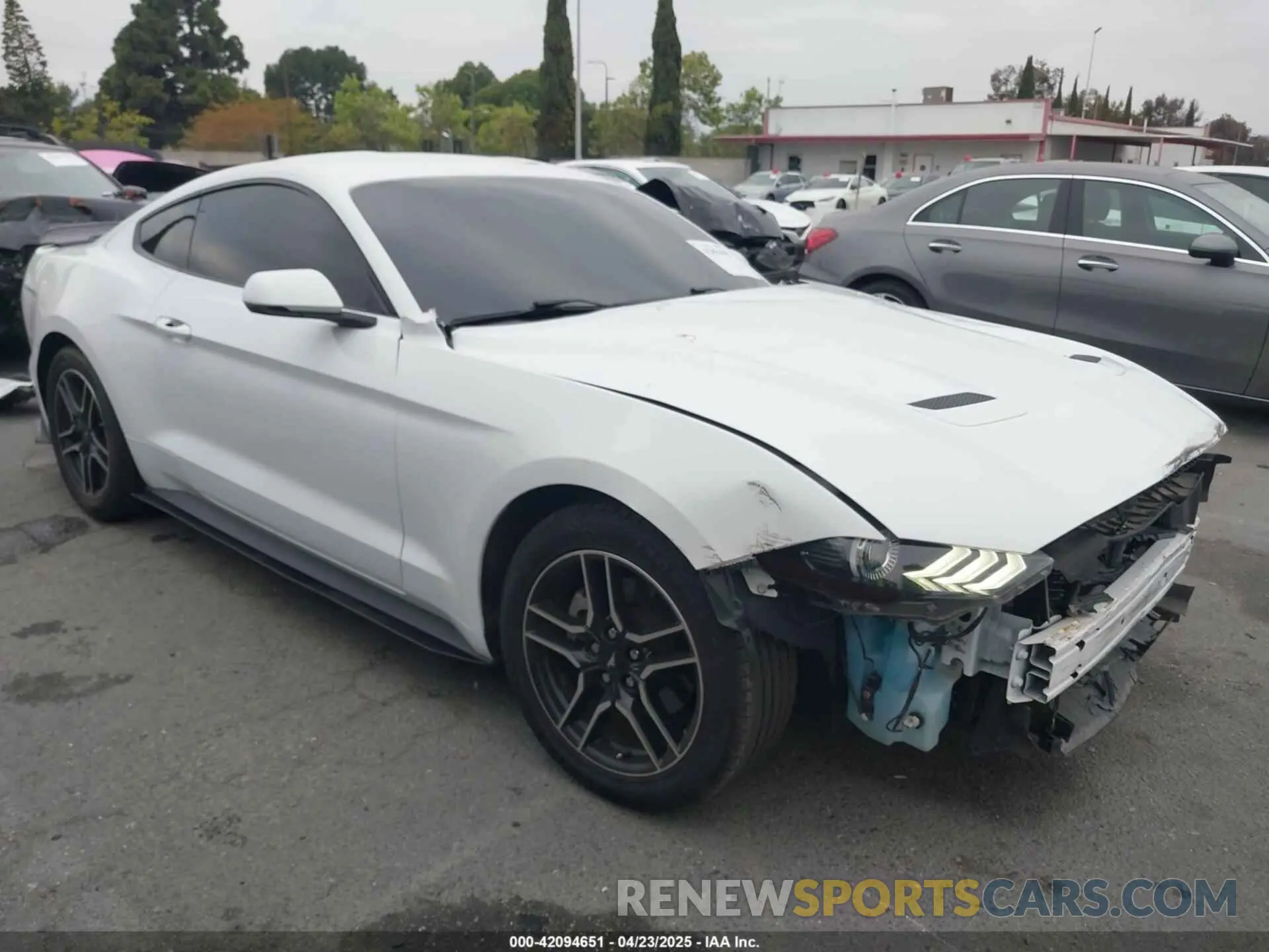 1 Фотография поврежденного автомобиля 1FA6P8TH6K5176777 FORD MUSTANG 2019