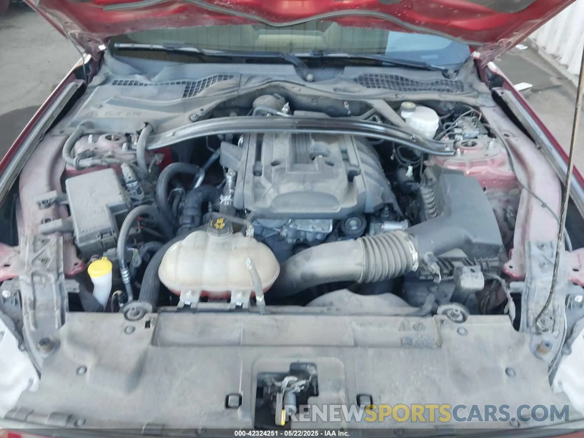 10 Photograph of a damaged car 1FA6P8TH6K5186130 FORD MUSTANG 2019