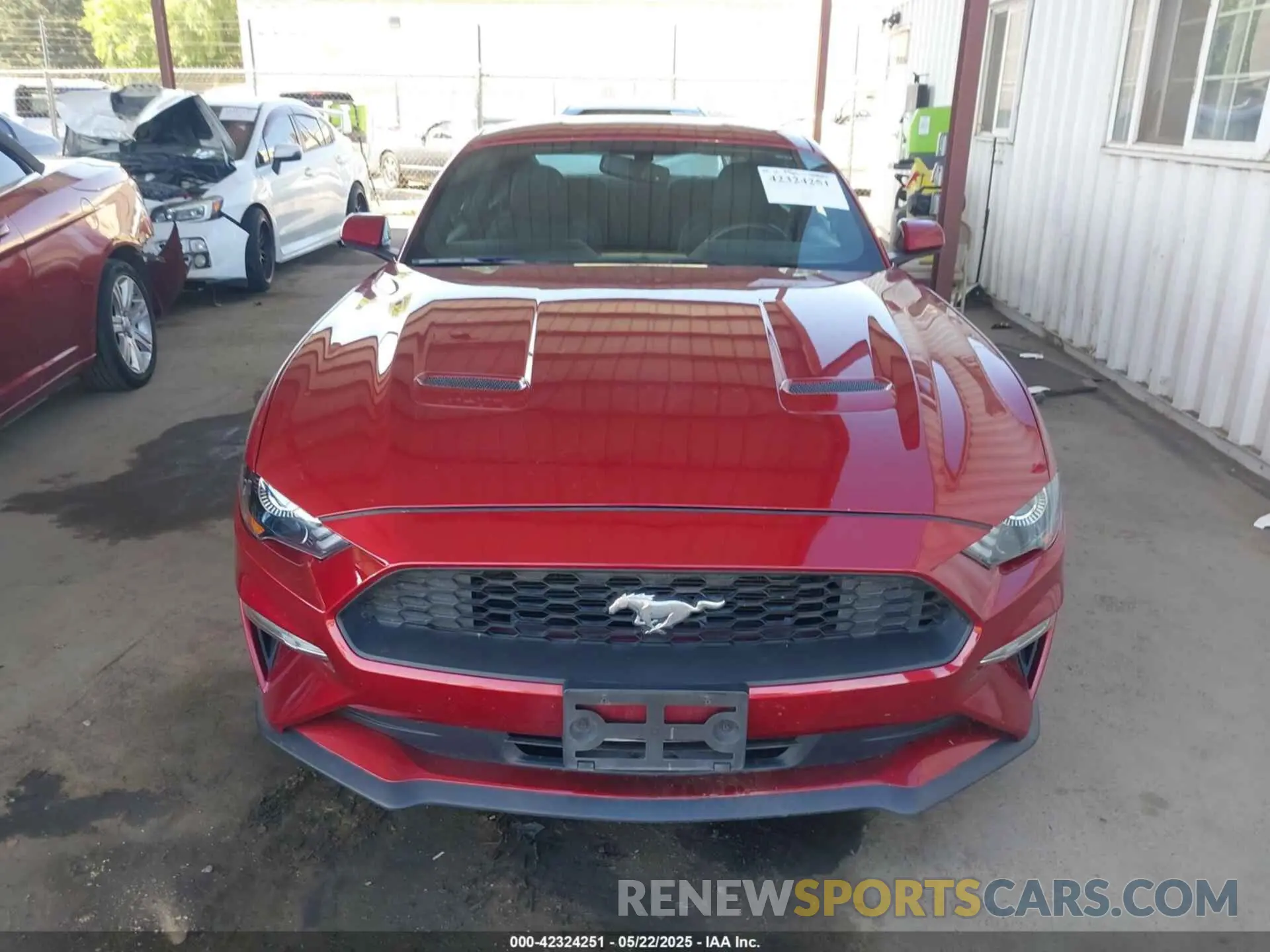 13 Photograph of a damaged car 1FA6P8TH6K5186130 FORD MUSTANG 2019