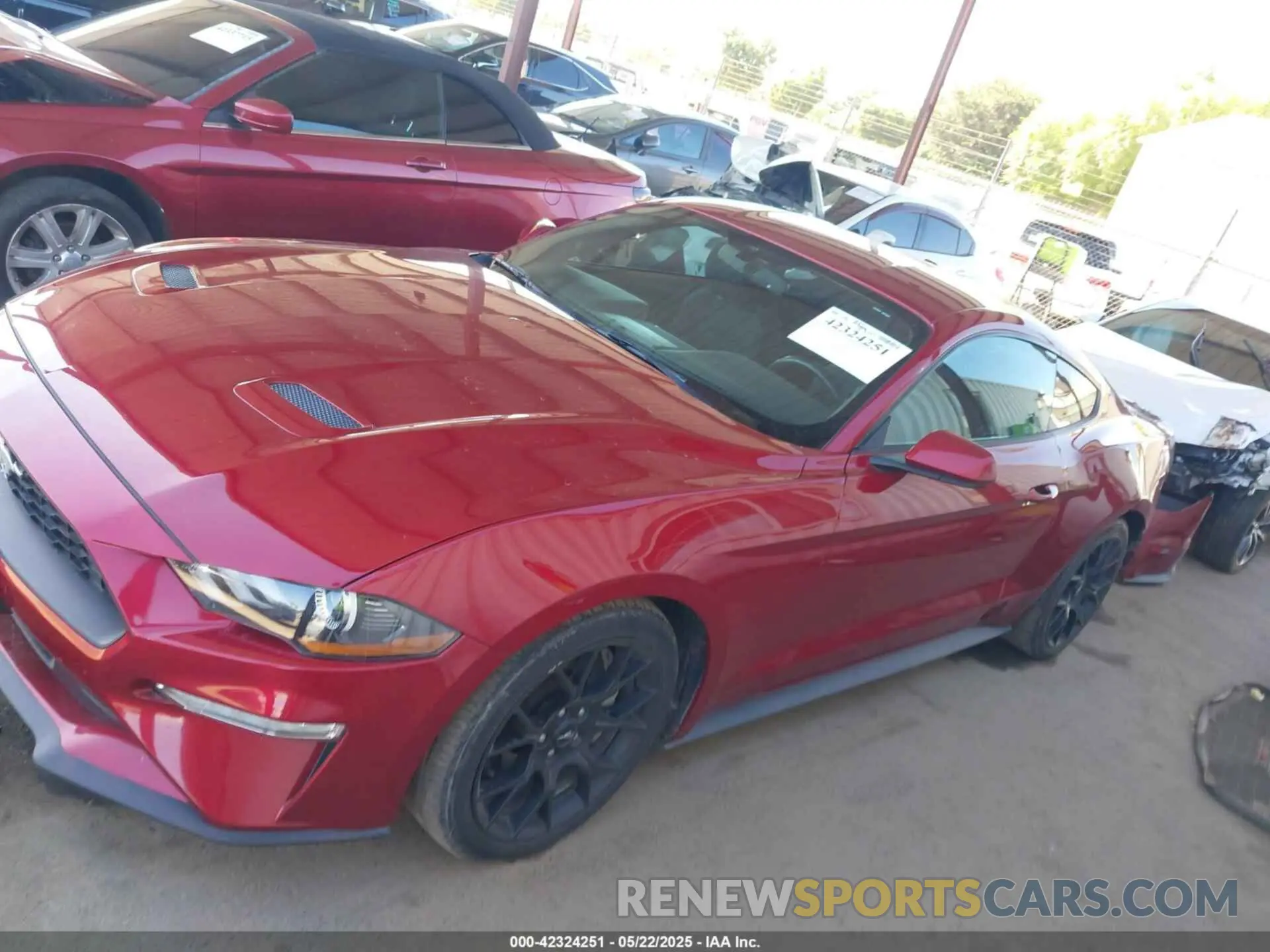 15 Photograph of a damaged car 1FA6P8TH6K5186130 FORD MUSTANG 2019
