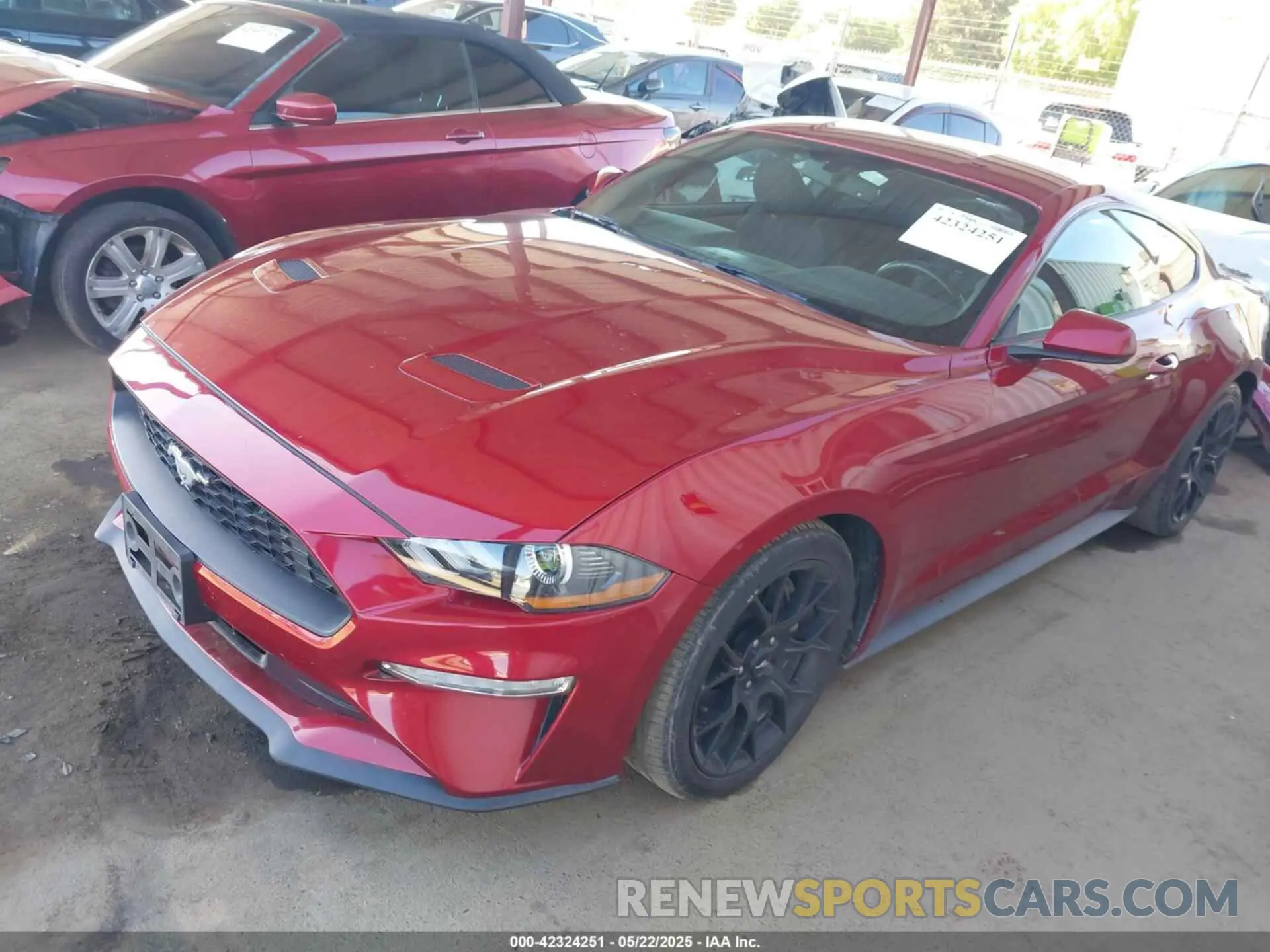 2 Photograph of a damaged car 1FA6P8TH6K5186130 FORD MUSTANG 2019