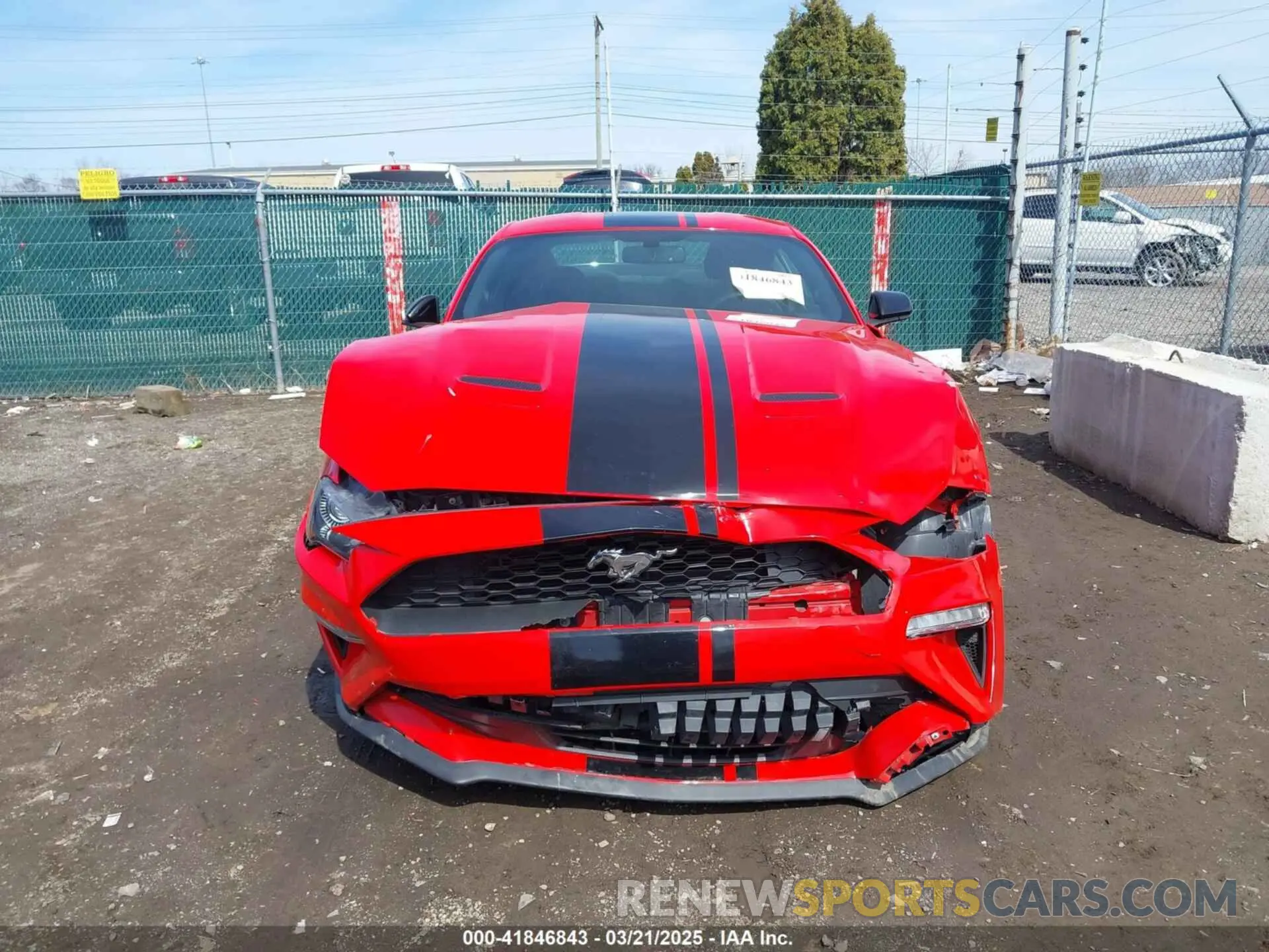 6 Photograph of a damaged car 1FA6P8TH6K5197340 FORD MUSTANG 2019