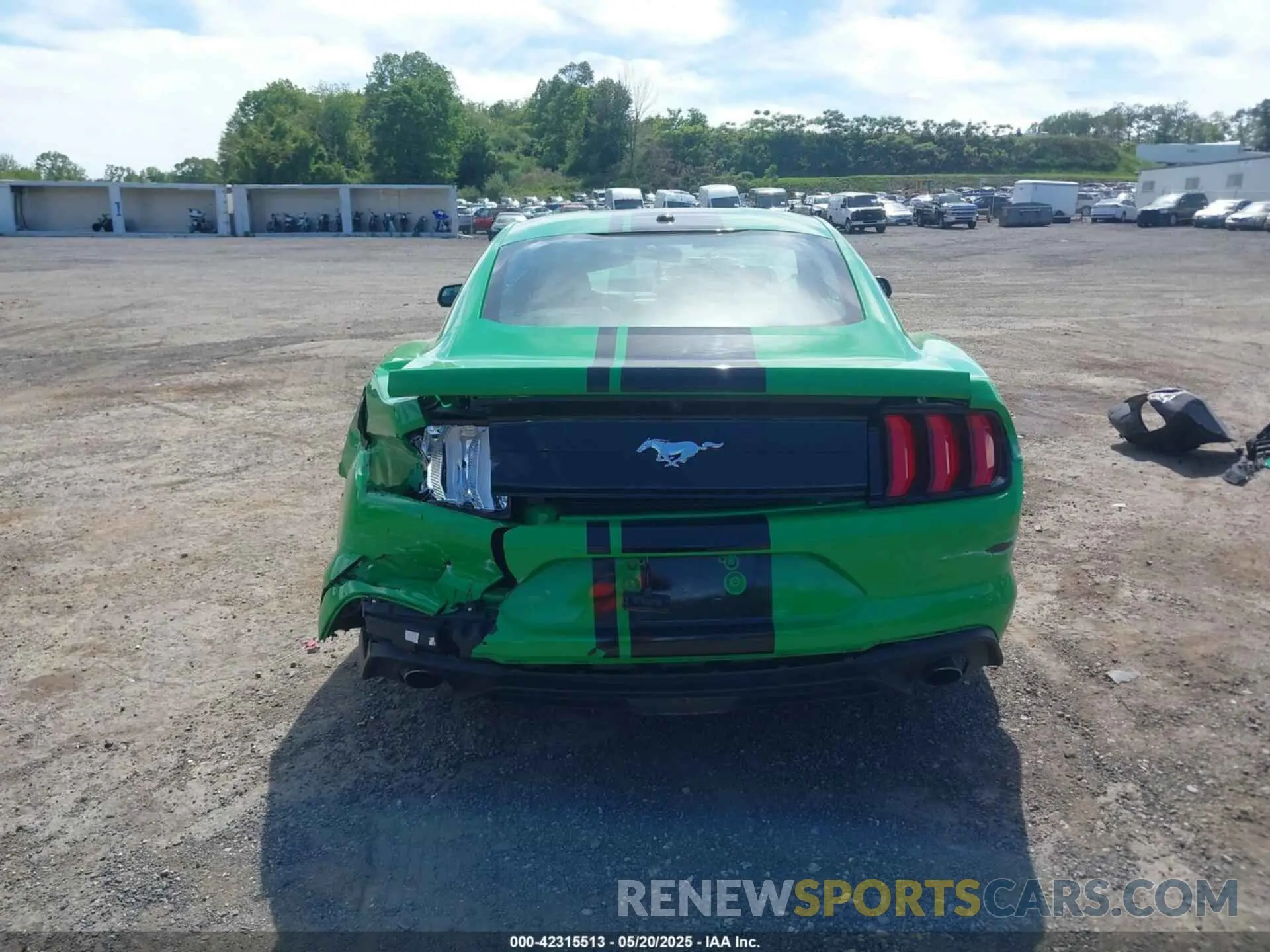 16 Фотография поврежденного автомобиля 1FA6P8TH6K5198844 FORD MUSTANG 2019