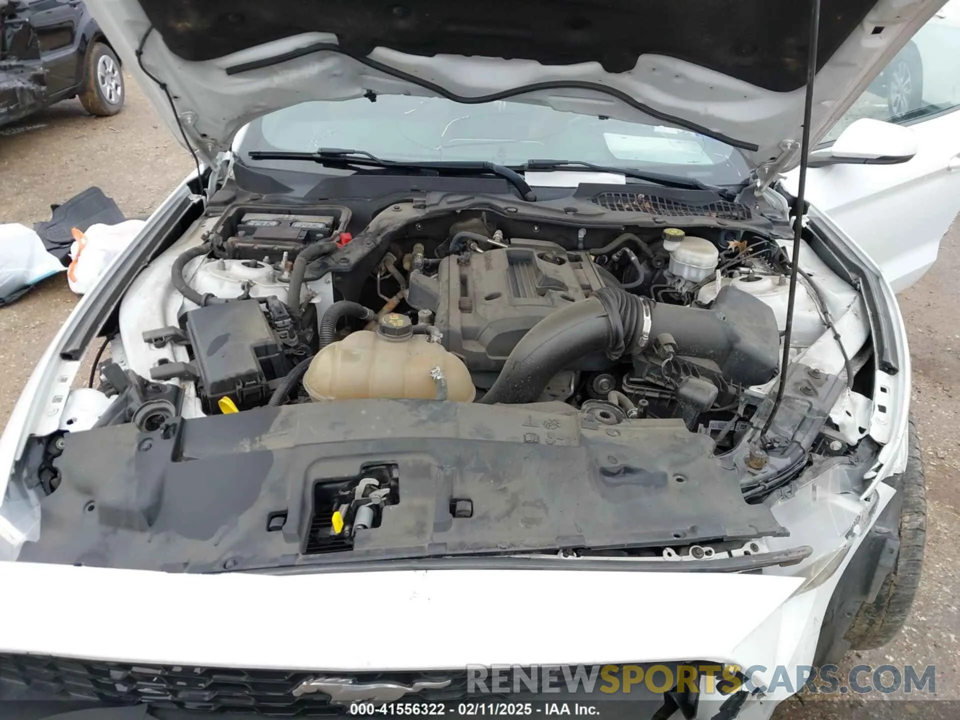 10 Photograph of a damaged car 1FA6P8TH6K5201919 FORD MUSTANG 2019