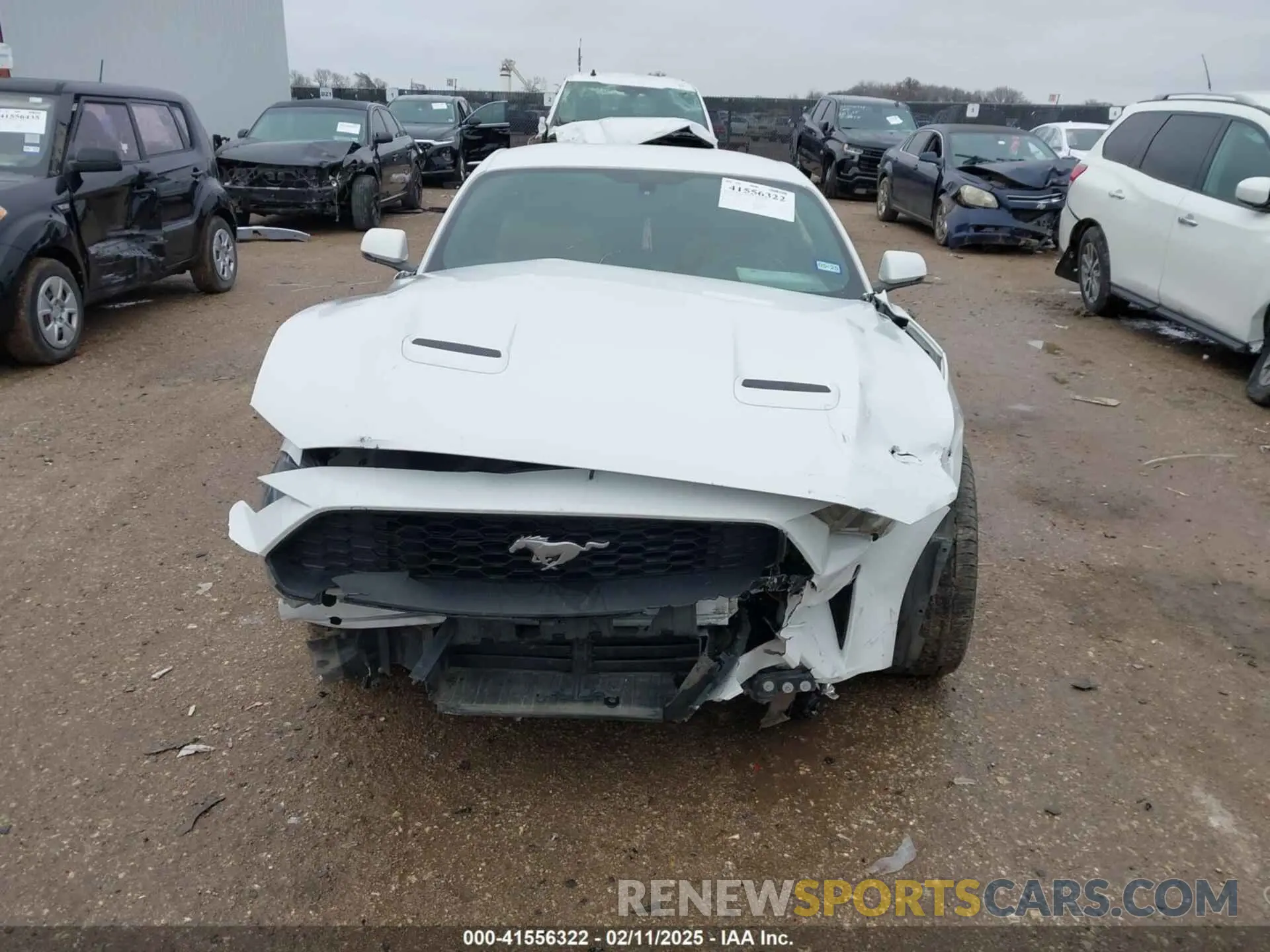 11 Photograph of a damaged car 1FA6P8TH6K5201919 FORD MUSTANG 2019