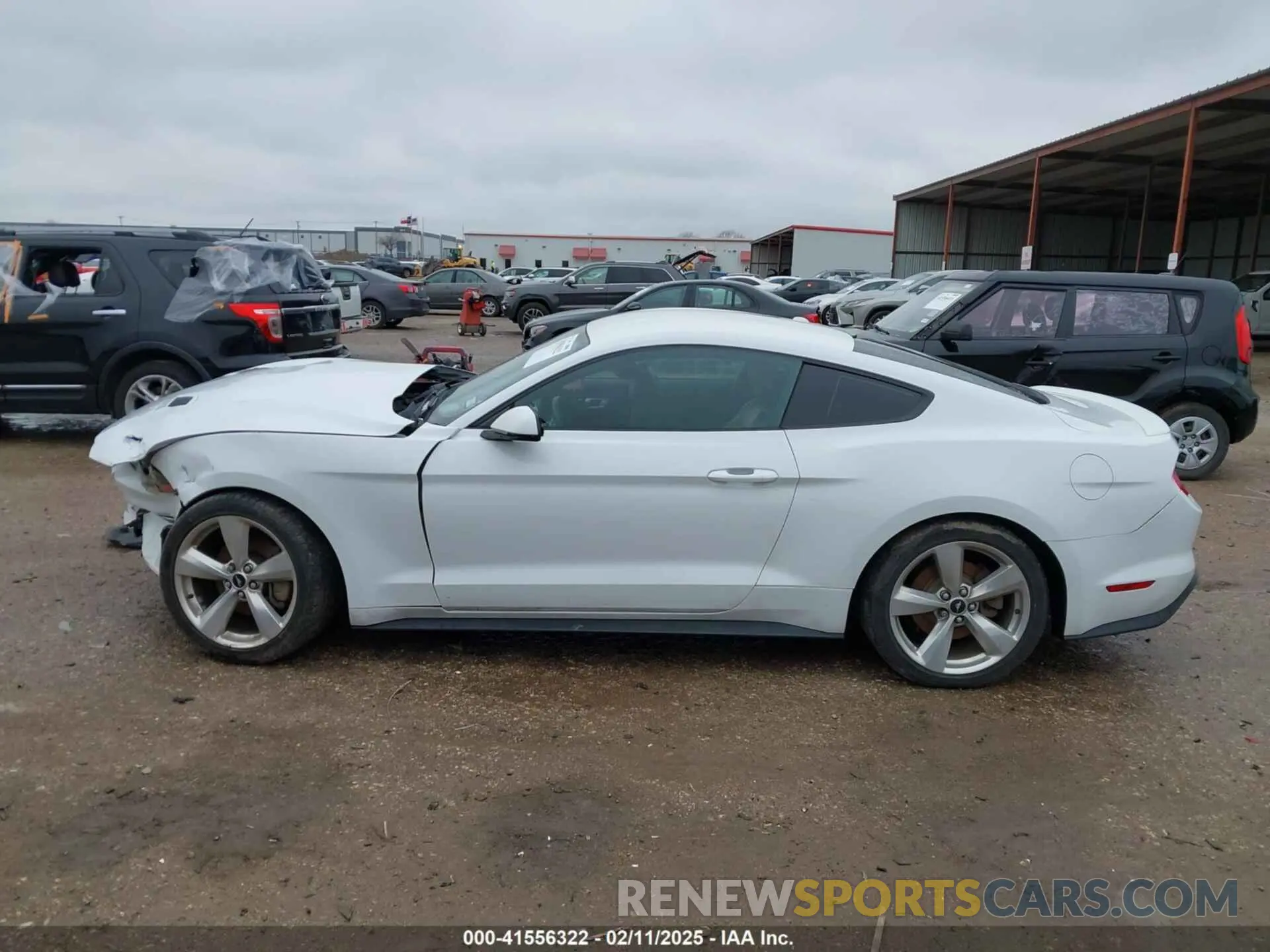 13 Photograph of a damaged car 1FA6P8TH6K5201919 FORD MUSTANG 2019