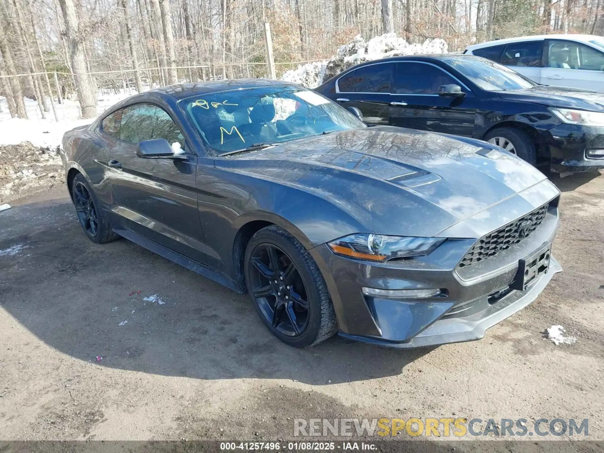 1 Фотография поврежденного автомобиля 1FA6P8TH7K5117365 FORD MUSTANG 2019
