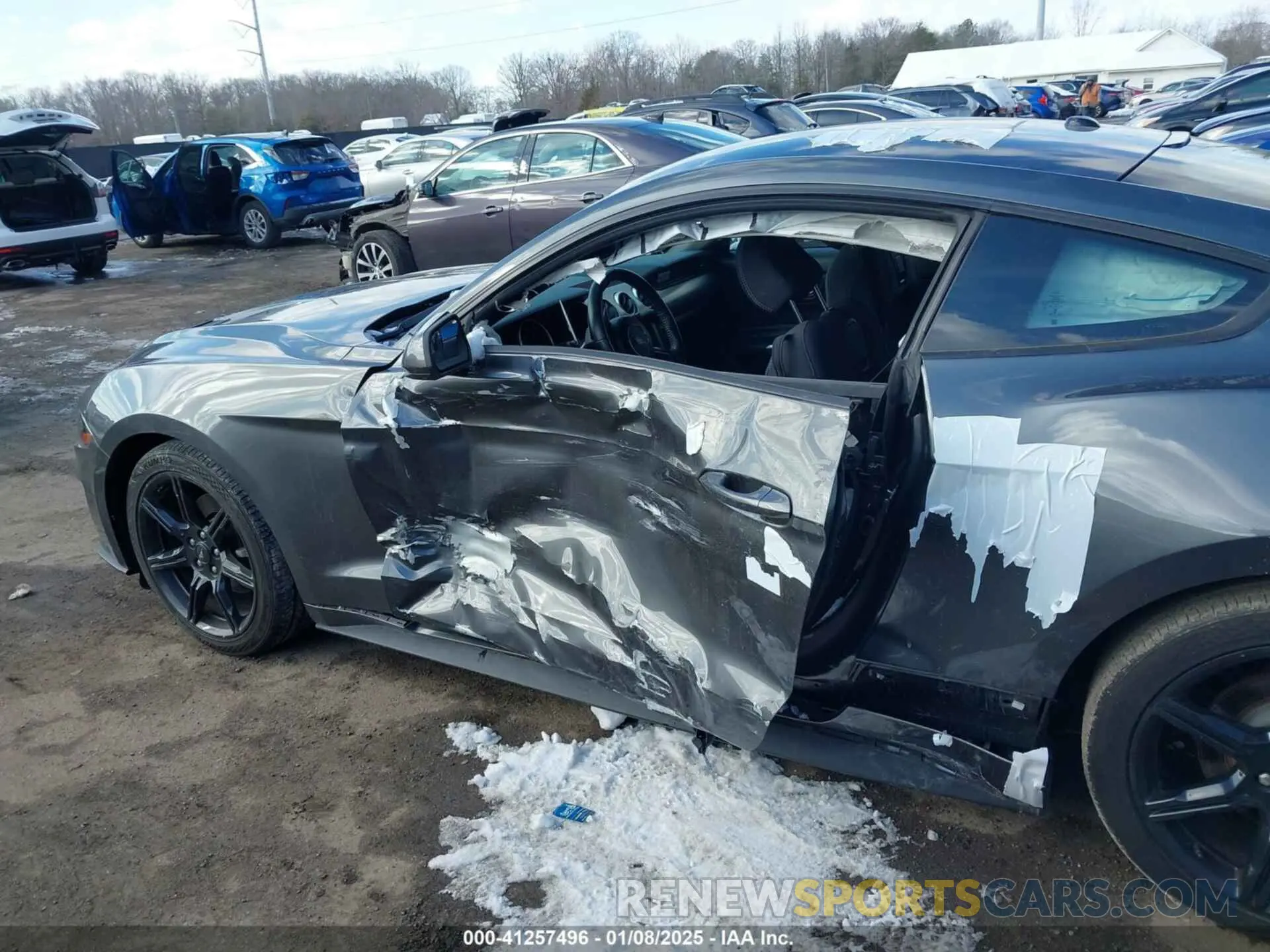 14 Фотография поврежденного автомобиля 1FA6P8TH7K5117365 FORD MUSTANG 2019