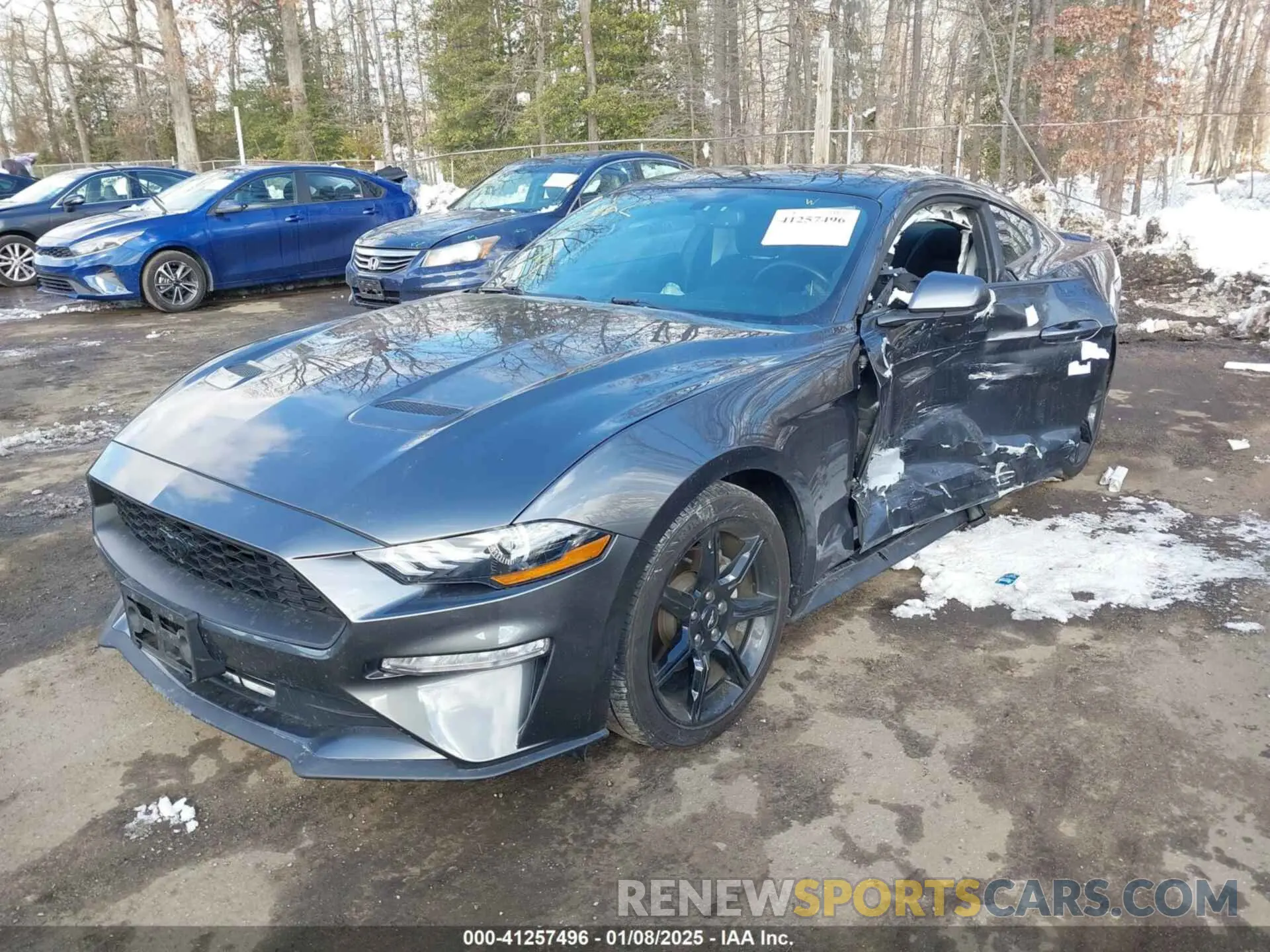 2 Фотография поврежденного автомобиля 1FA6P8TH7K5117365 FORD MUSTANG 2019