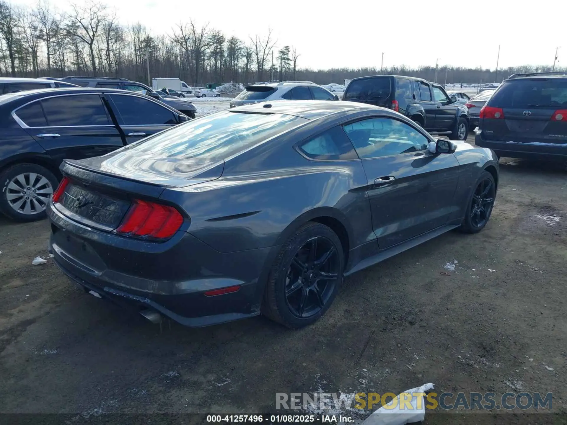 4 Фотография поврежденного автомобиля 1FA6P8TH7K5117365 FORD MUSTANG 2019
