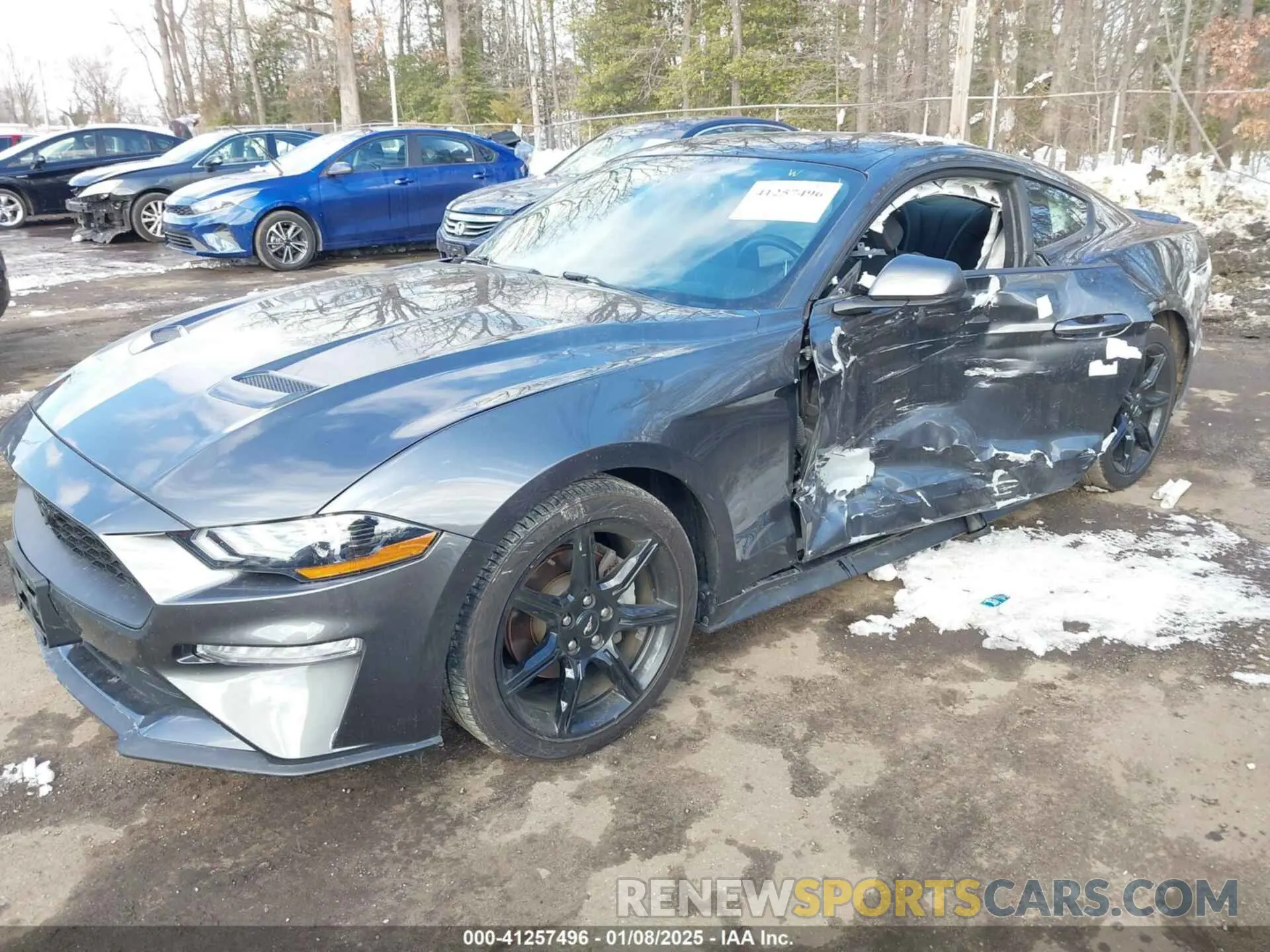 6 Фотография поврежденного автомобиля 1FA6P8TH7K5117365 FORD MUSTANG 2019