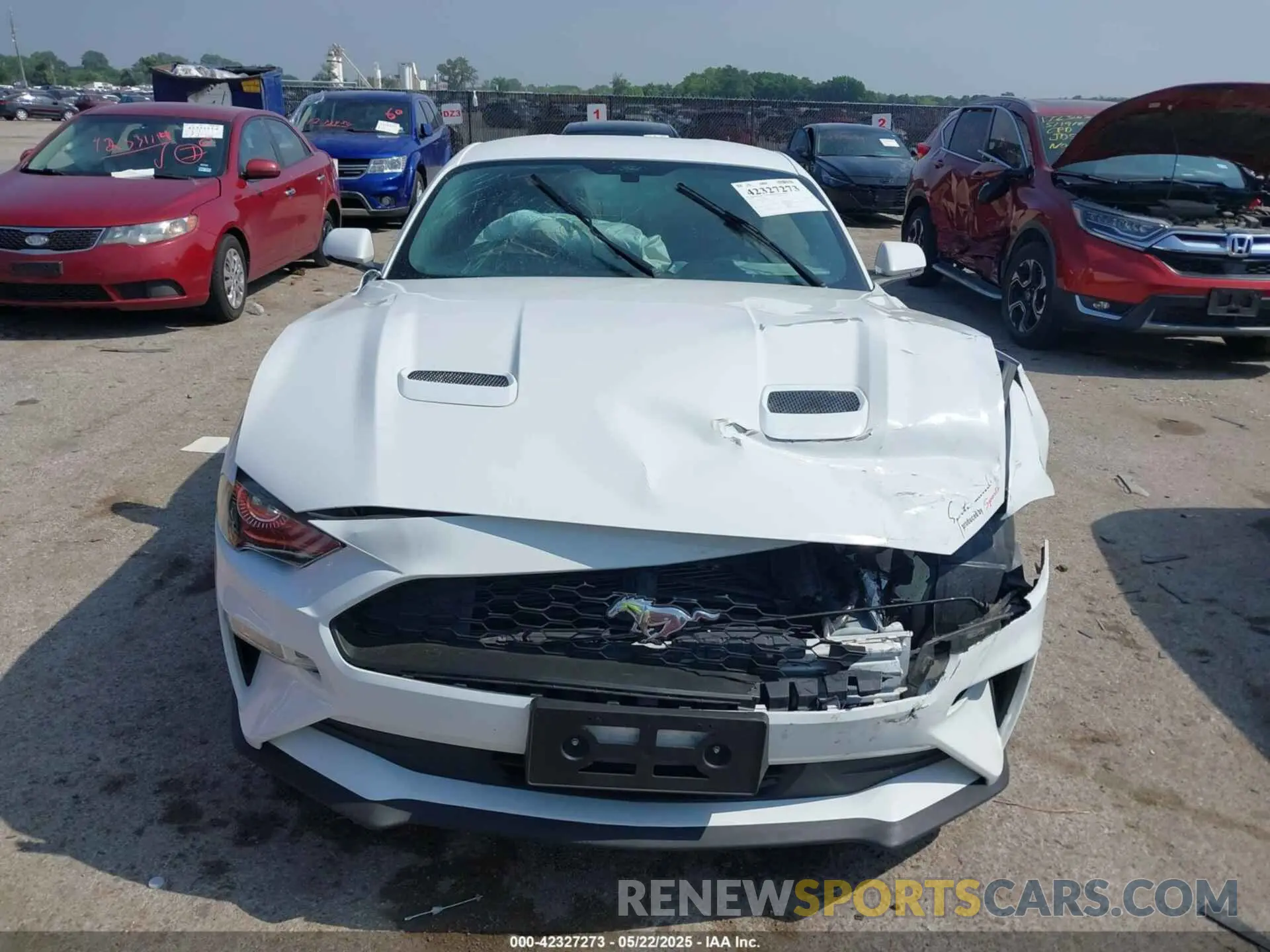 12 Photograph of a damaged car 1FA6P8TH7K5172155 FORD MUSTANG 2019