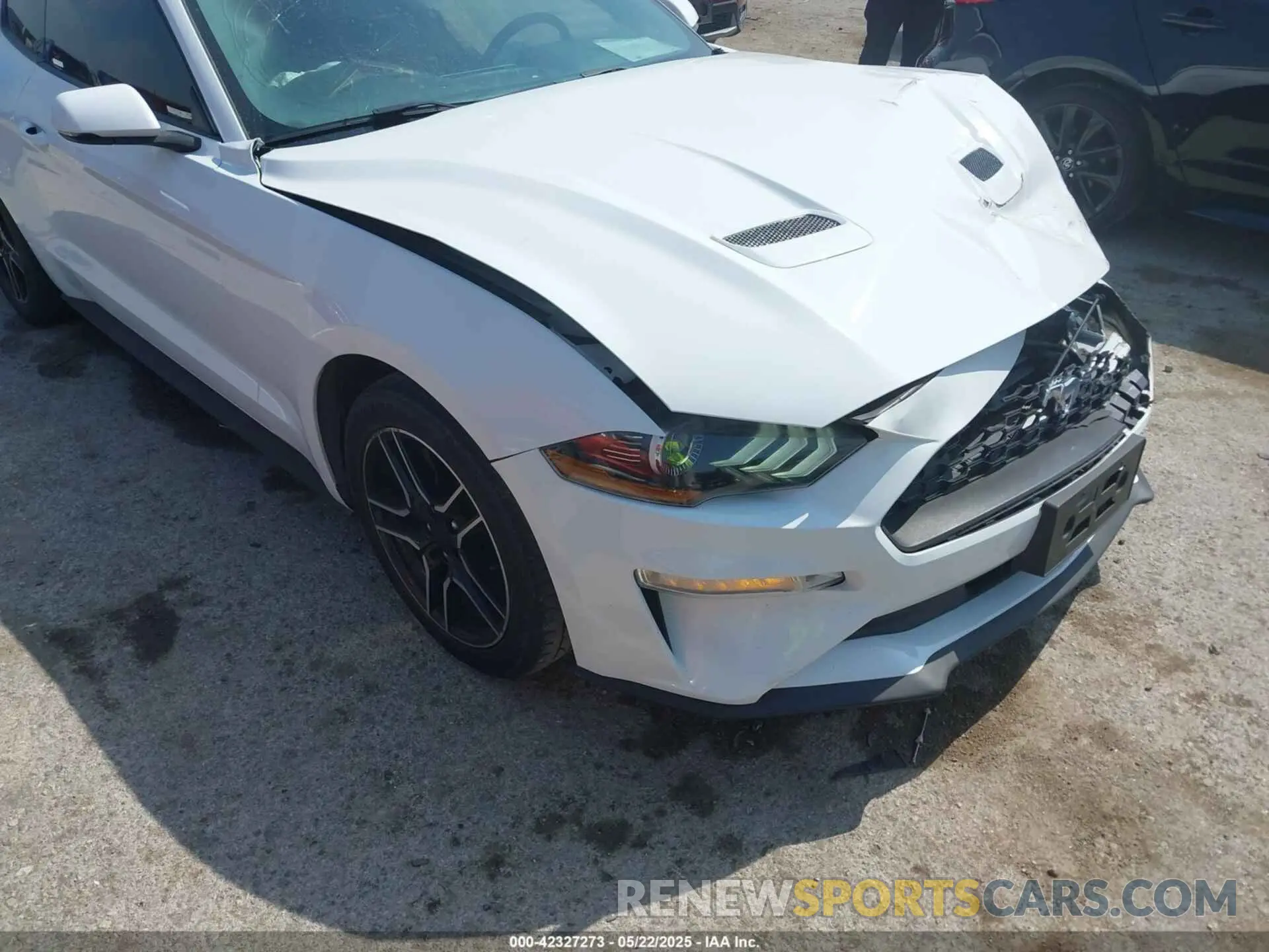6 Photograph of a damaged car 1FA6P8TH7K5172155 FORD MUSTANG 2019