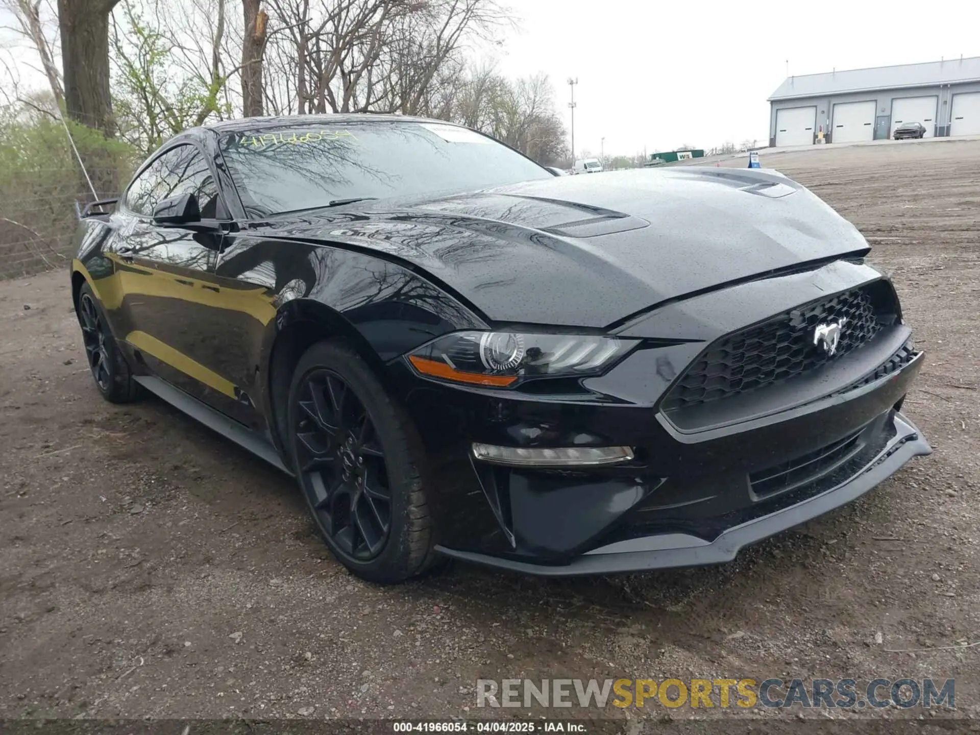 1 Photograph of a damaged car 1FA6P8TH7K5180949 FORD MUSTANG 2019