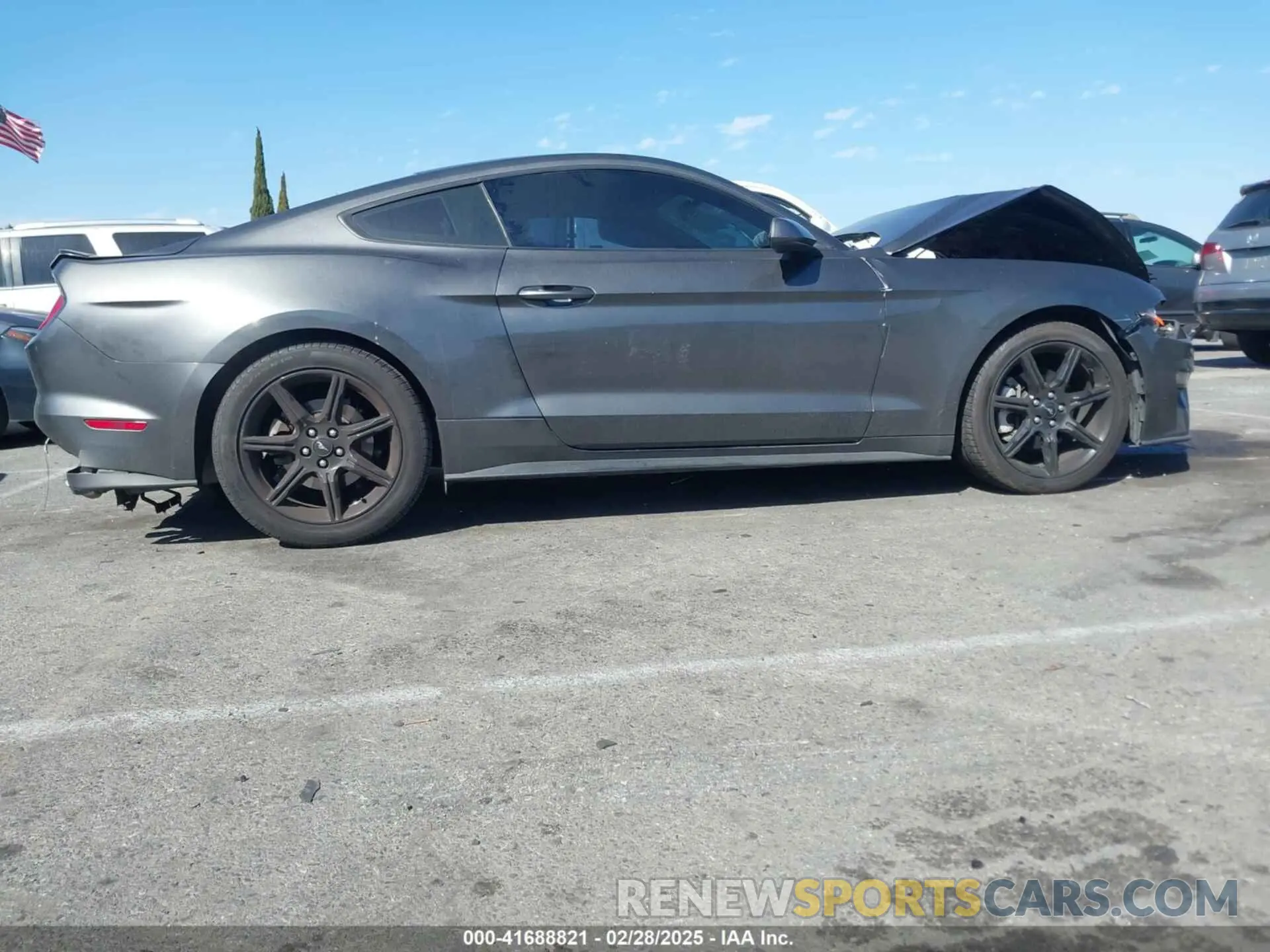 13 Photograph of a damaged car 1FA6P8TH8K5106195 FORD MUSTANG 2019