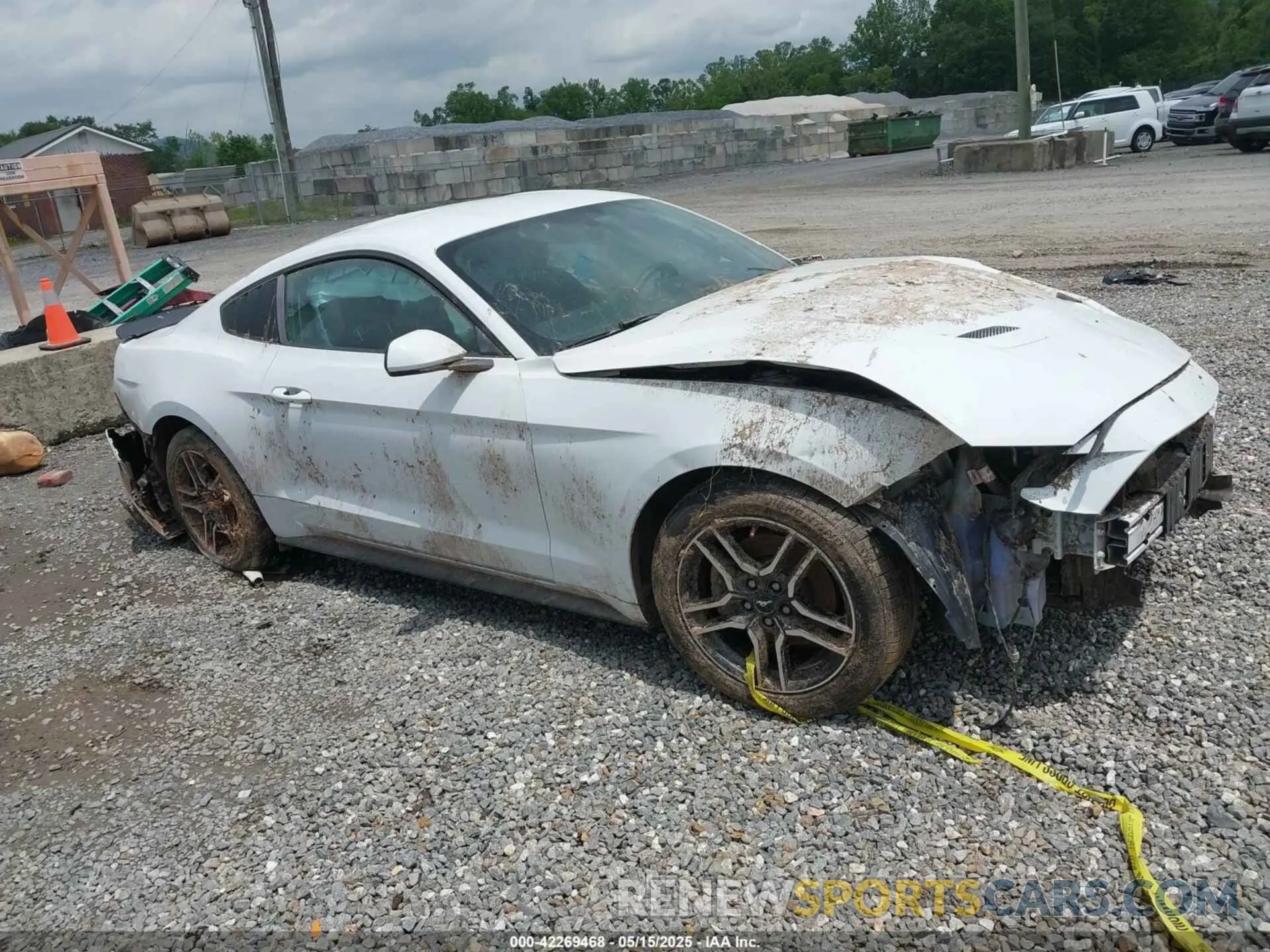 1 Фотография поврежденного автомобиля 1FA6P8TH8K5114605 FORD MUSTANG 2019