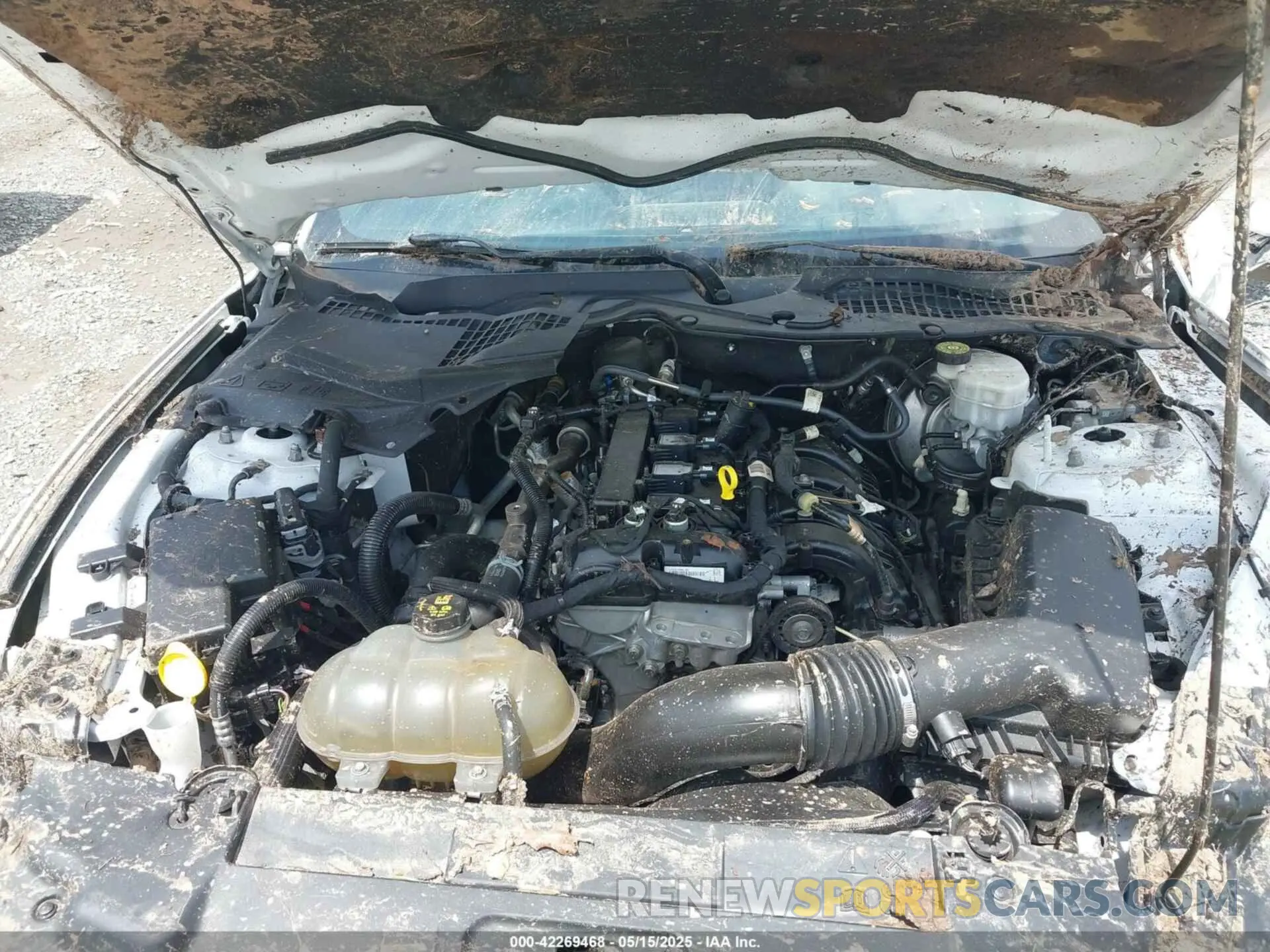 10 Фотография поврежденного автомобиля 1FA6P8TH8K5114605 FORD MUSTANG 2019