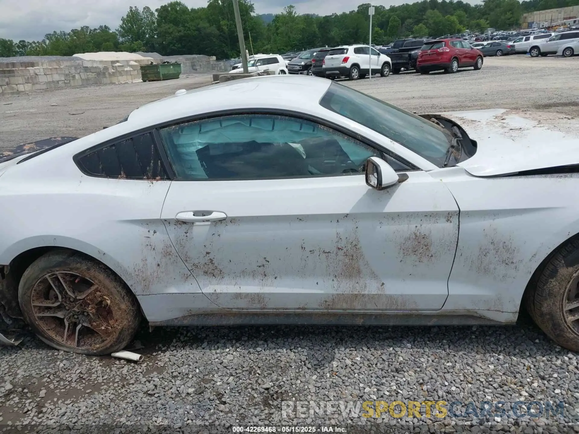 13 Фотография поврежденного автомобиля 1FA6P8TH8K5114605 FORD MUSTANG 2019
