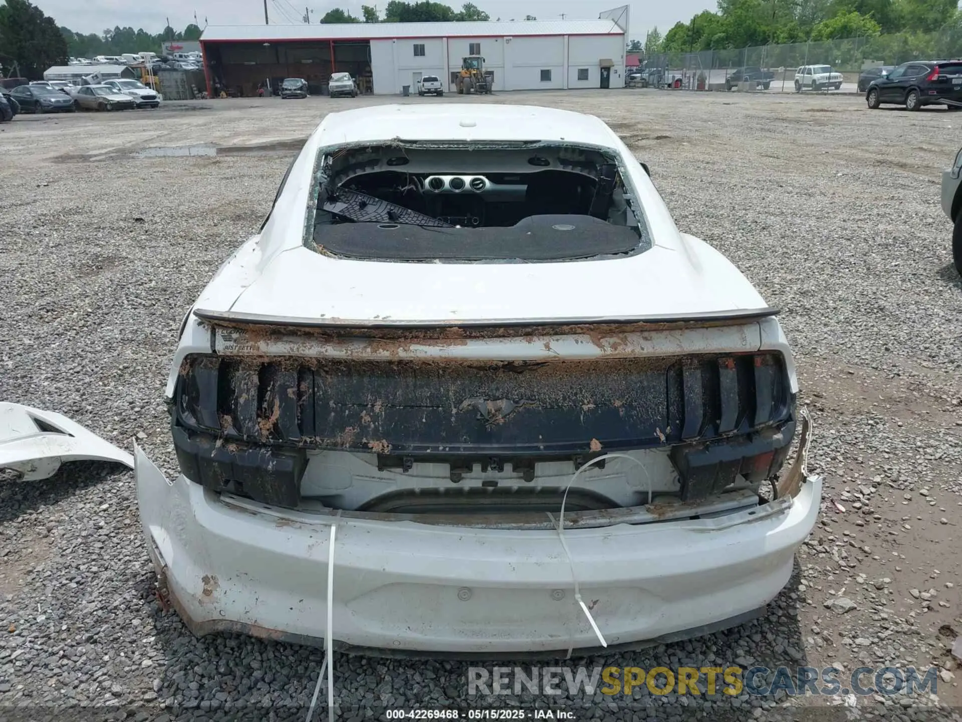 16 Фотография поврежденного автомобиля 1FA6P8TH8K5114605 FORD MUSTANG 2019