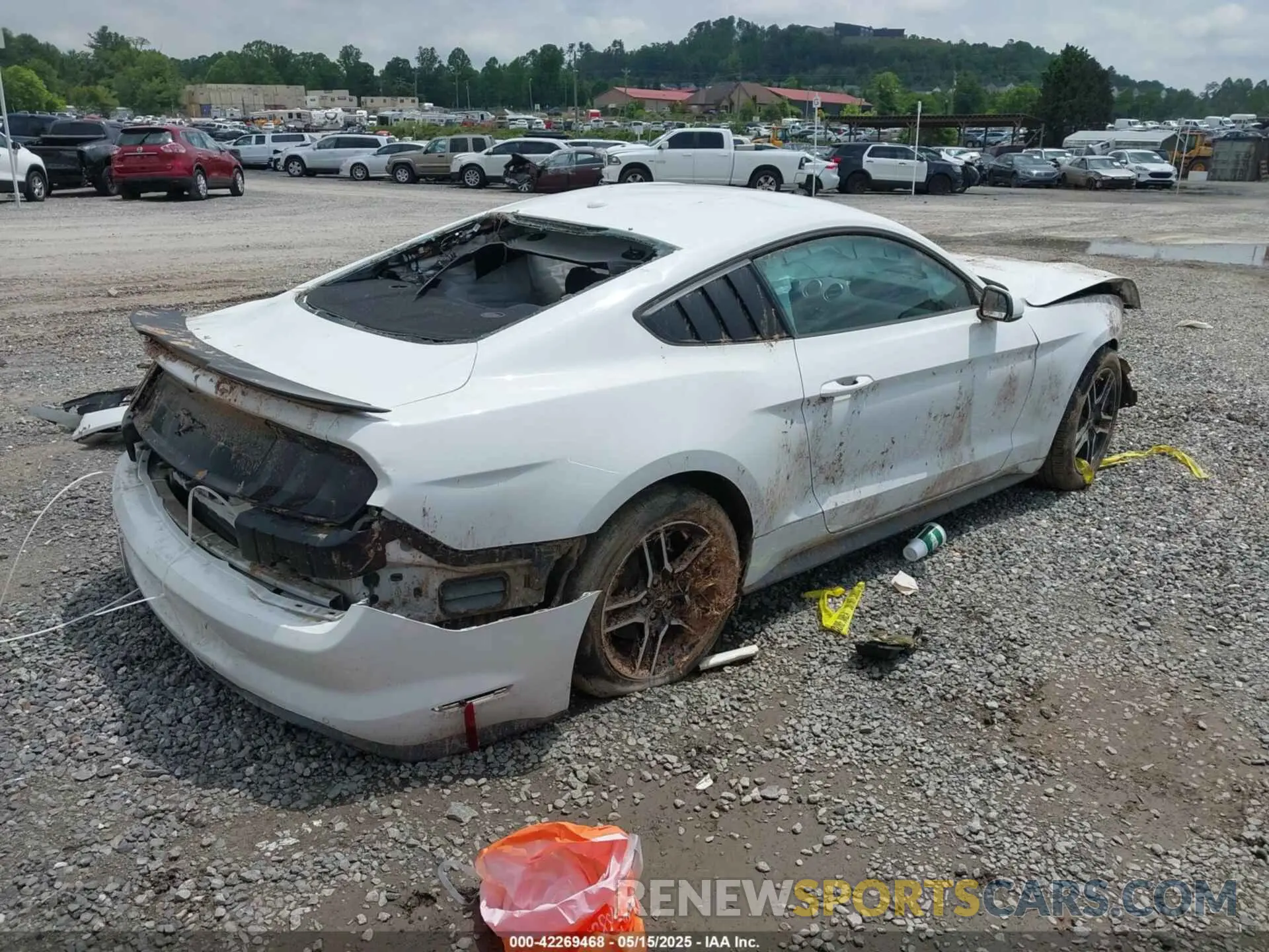 4 Фотография поврежденного автомобиля 1FA6P8TH8K5114605 FORD MUSTANG 2019